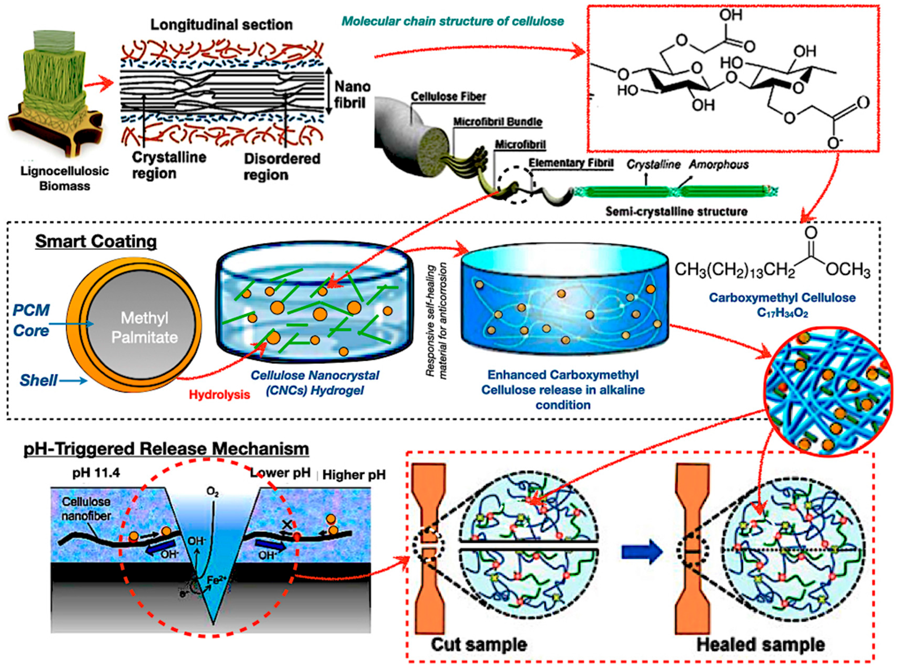 Polymers 17 02925 g009 Polymers 17 02925 g009