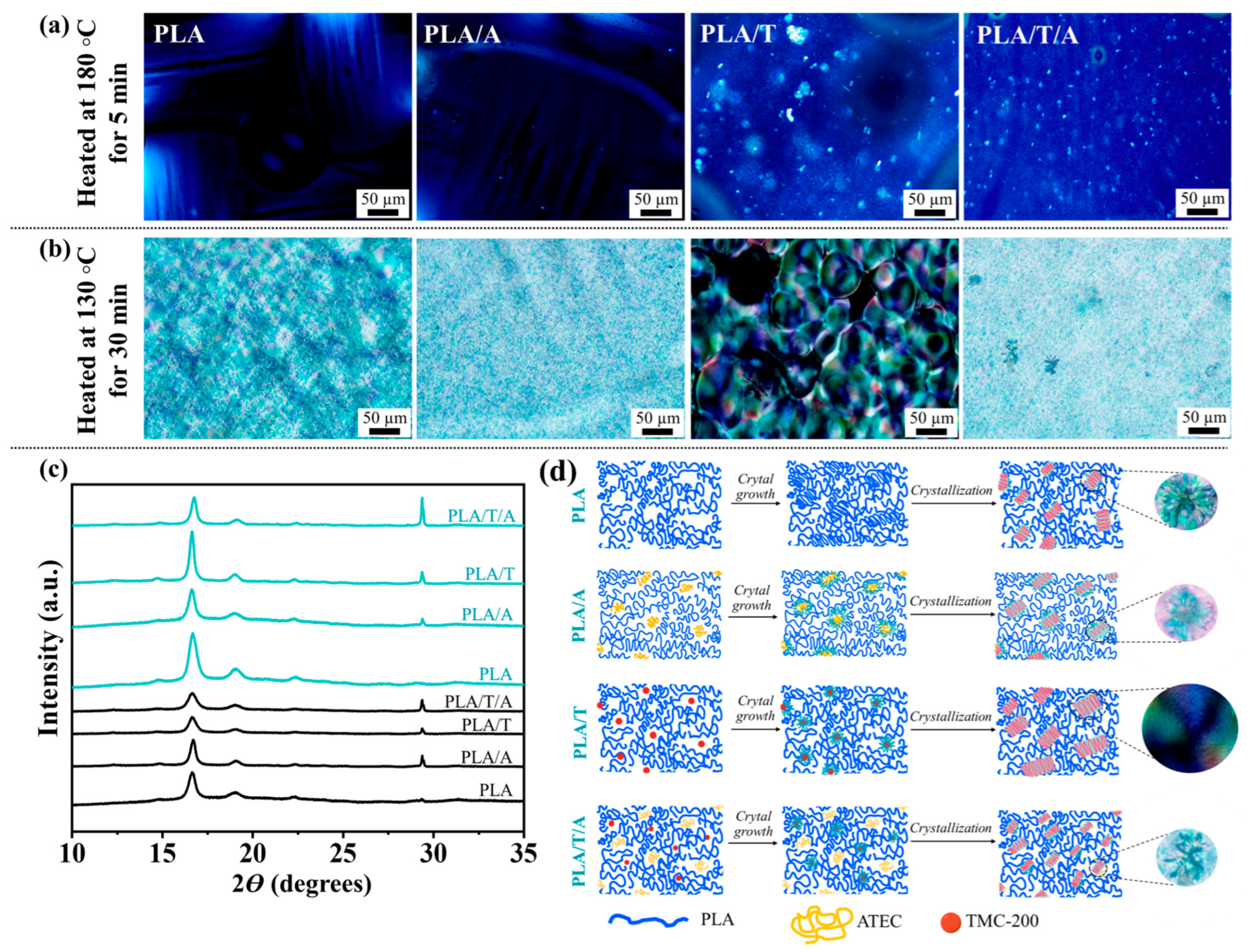 Polymers 17 02926 g007