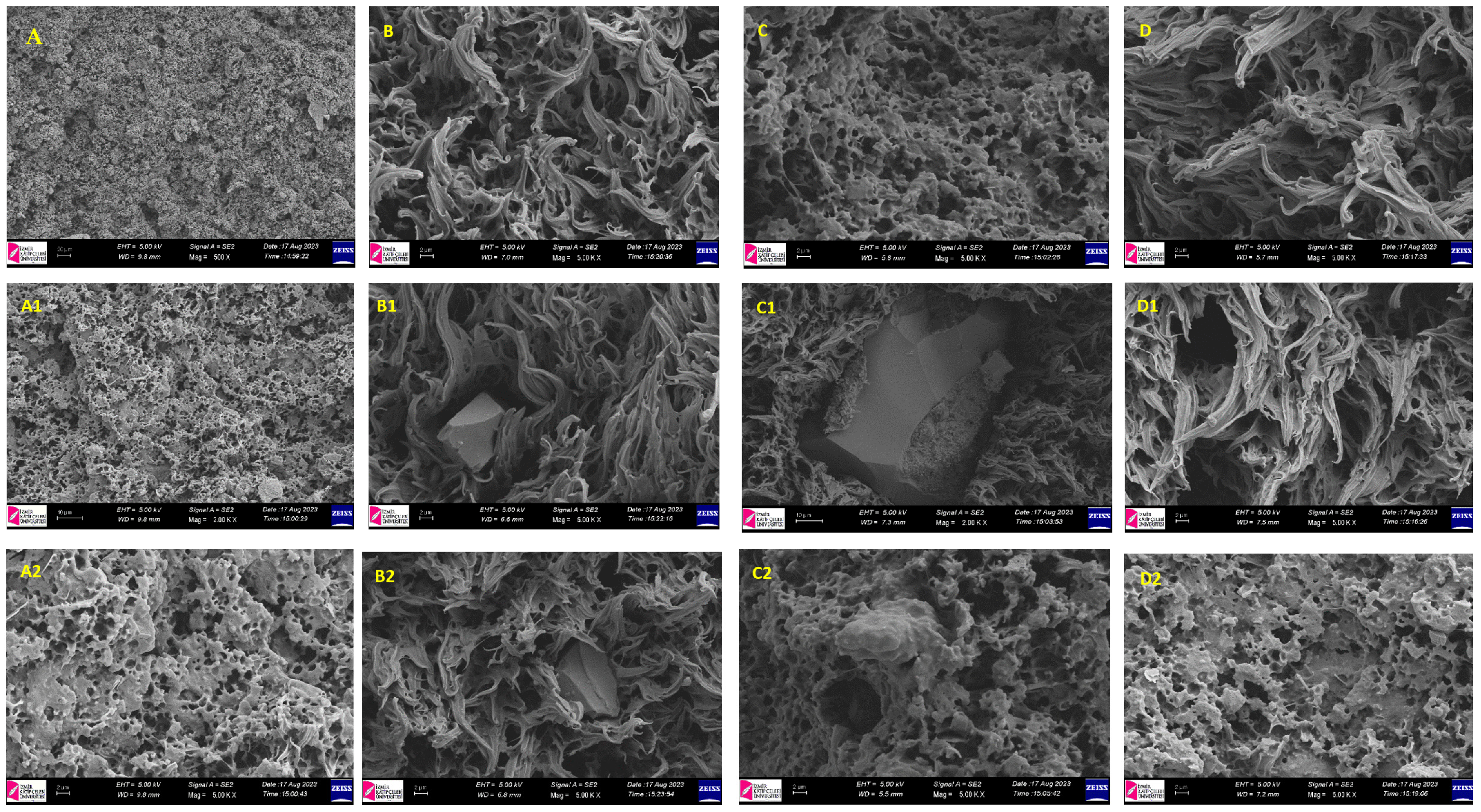 Polymers 17 02928 g009