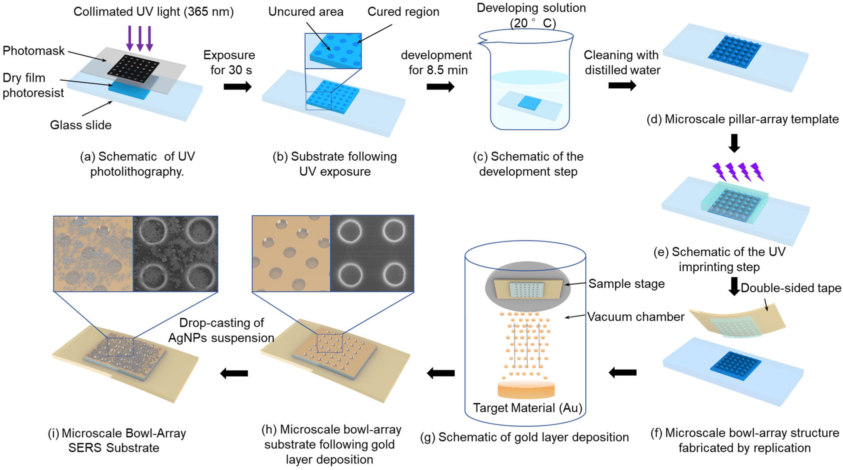 Polymers 17 02930 g001