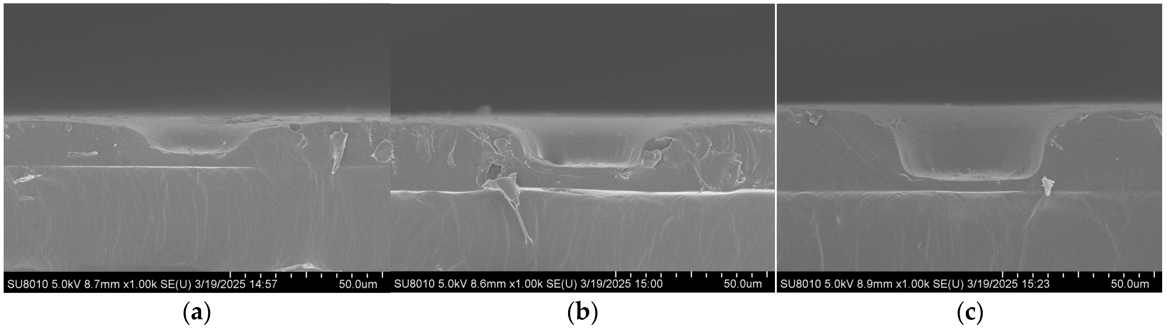 Polymers 17 02930 g002