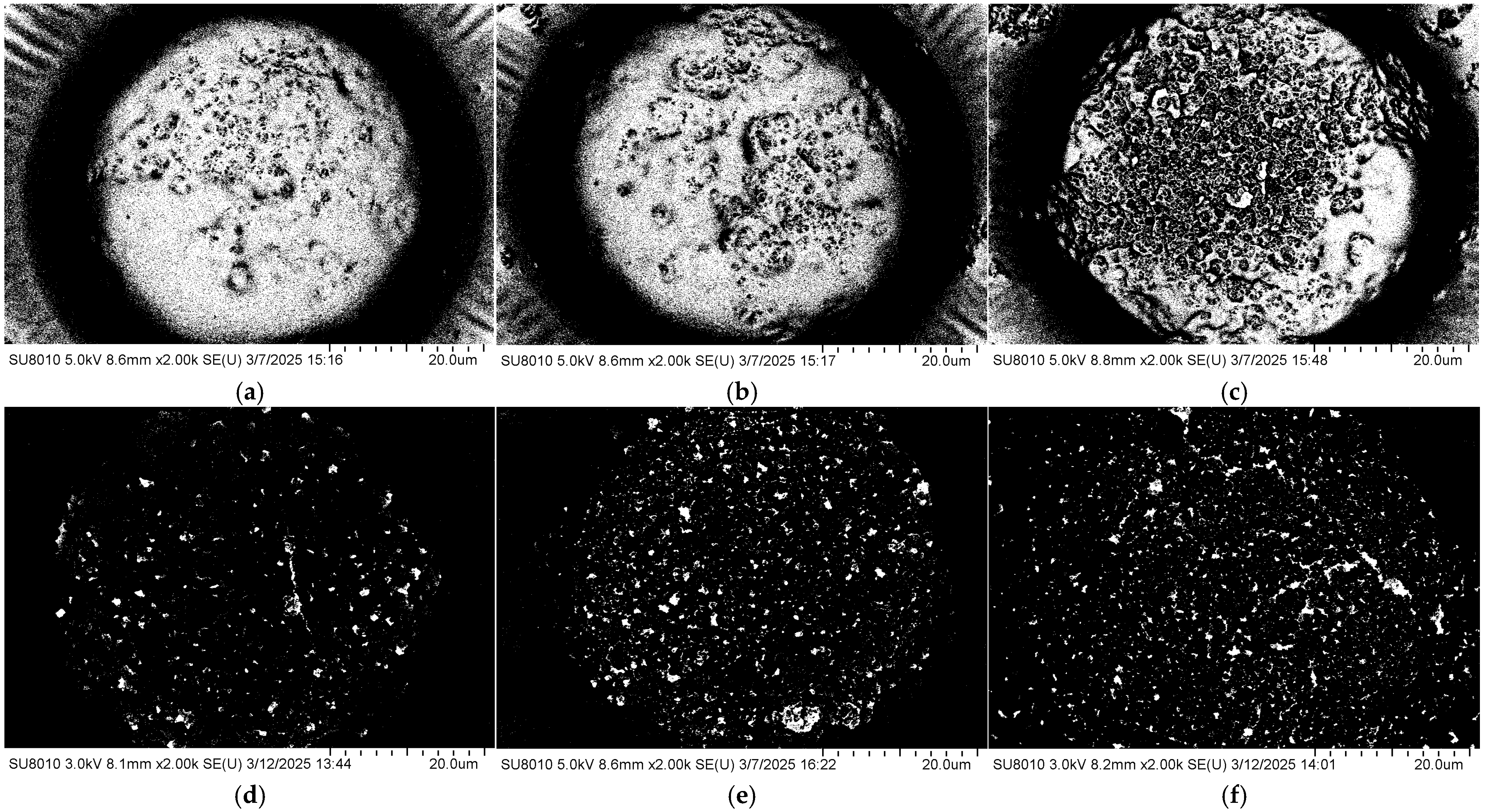 Polymers 17 02930 g004