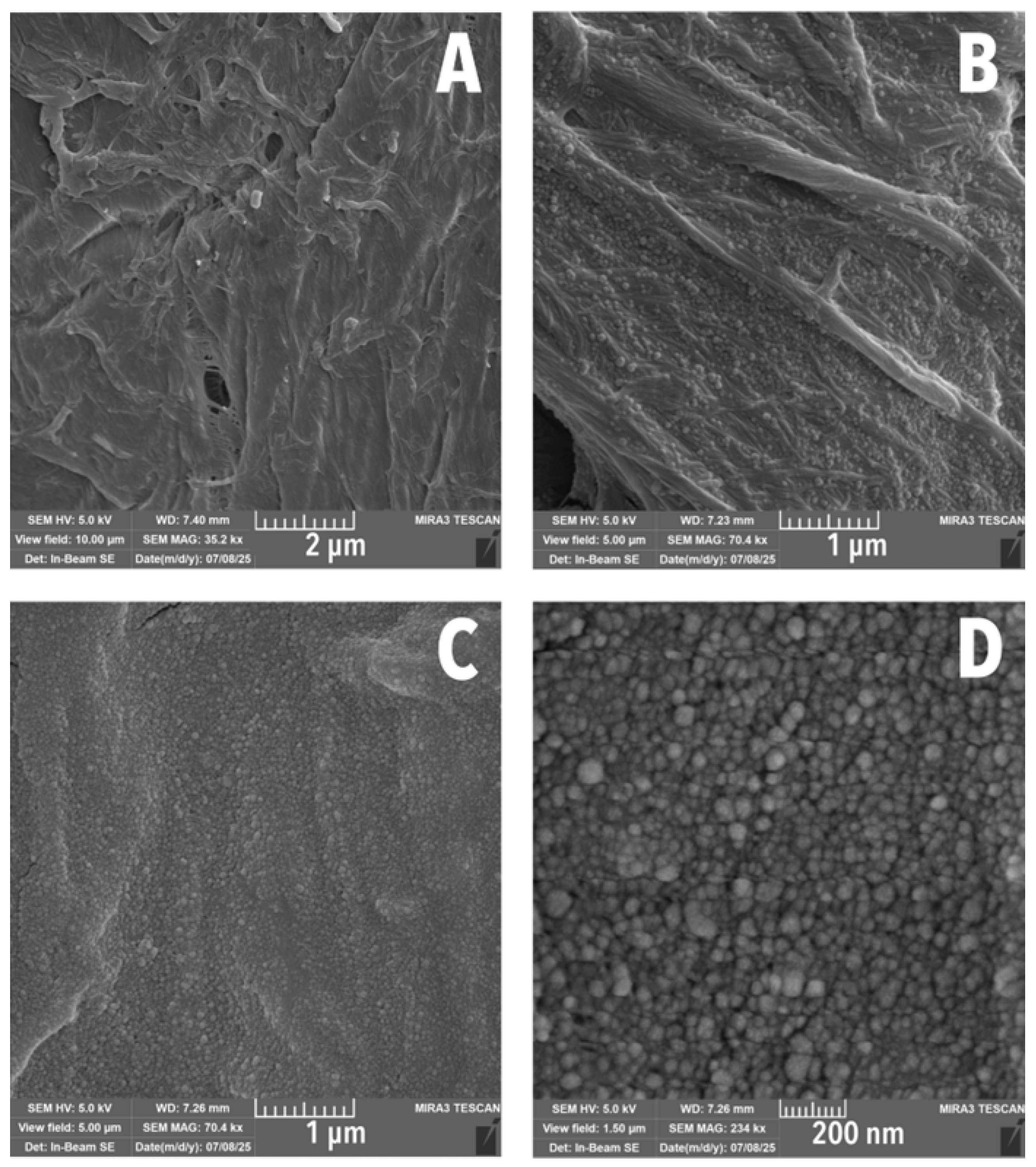 Polymers 17 02934 g002