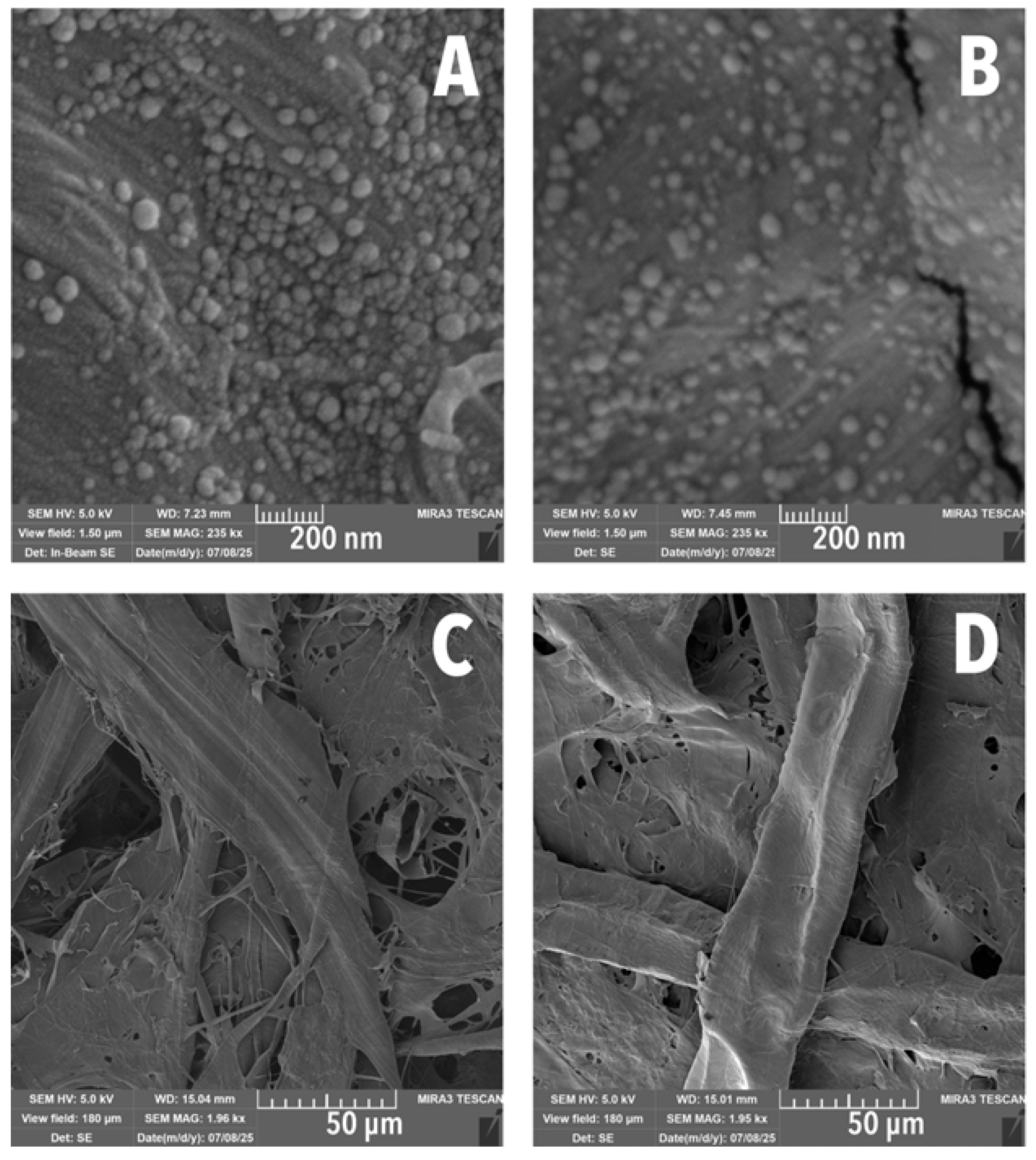 Polymers 17 02934 g004