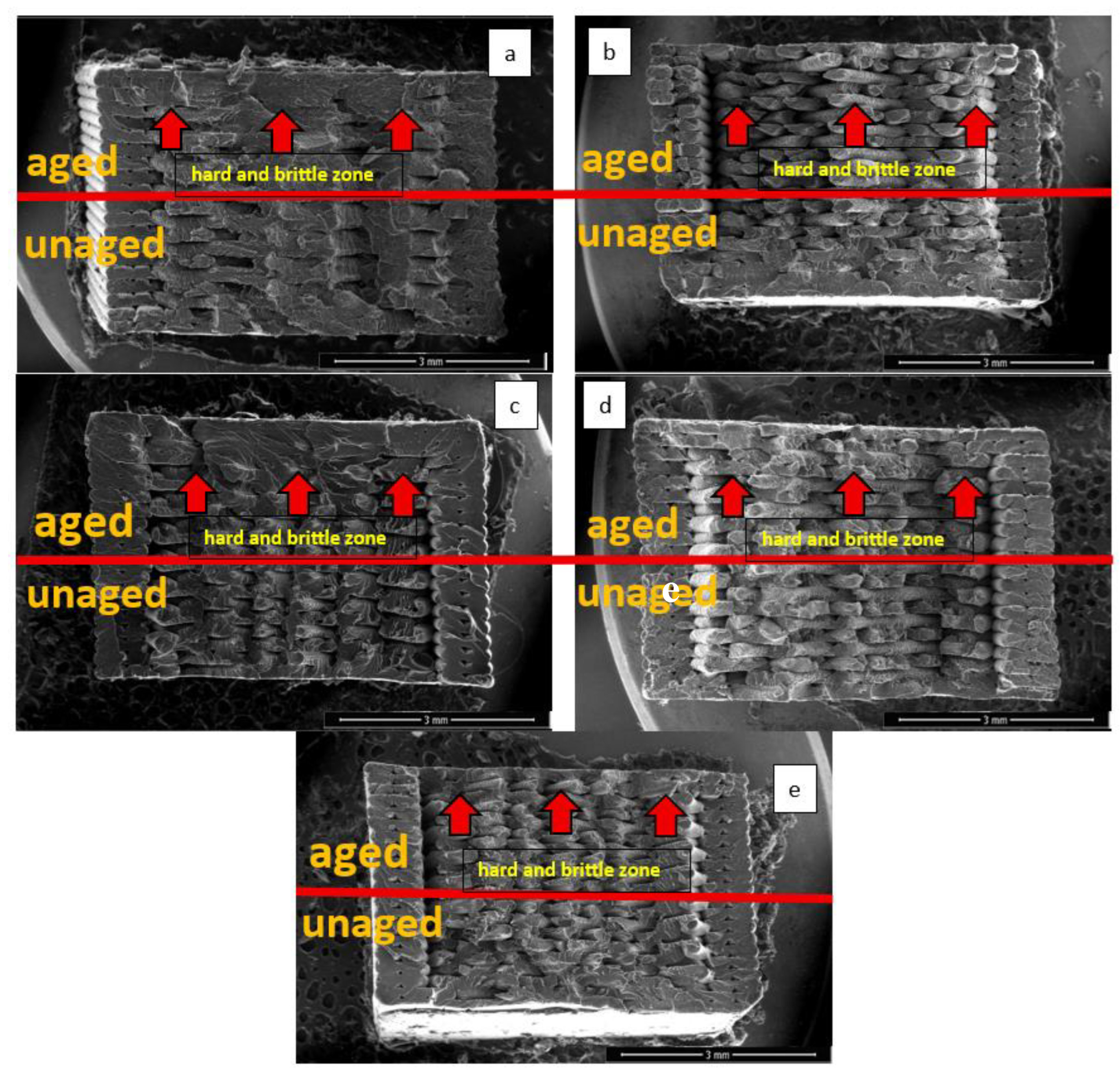 Polymers 17 02940 g008