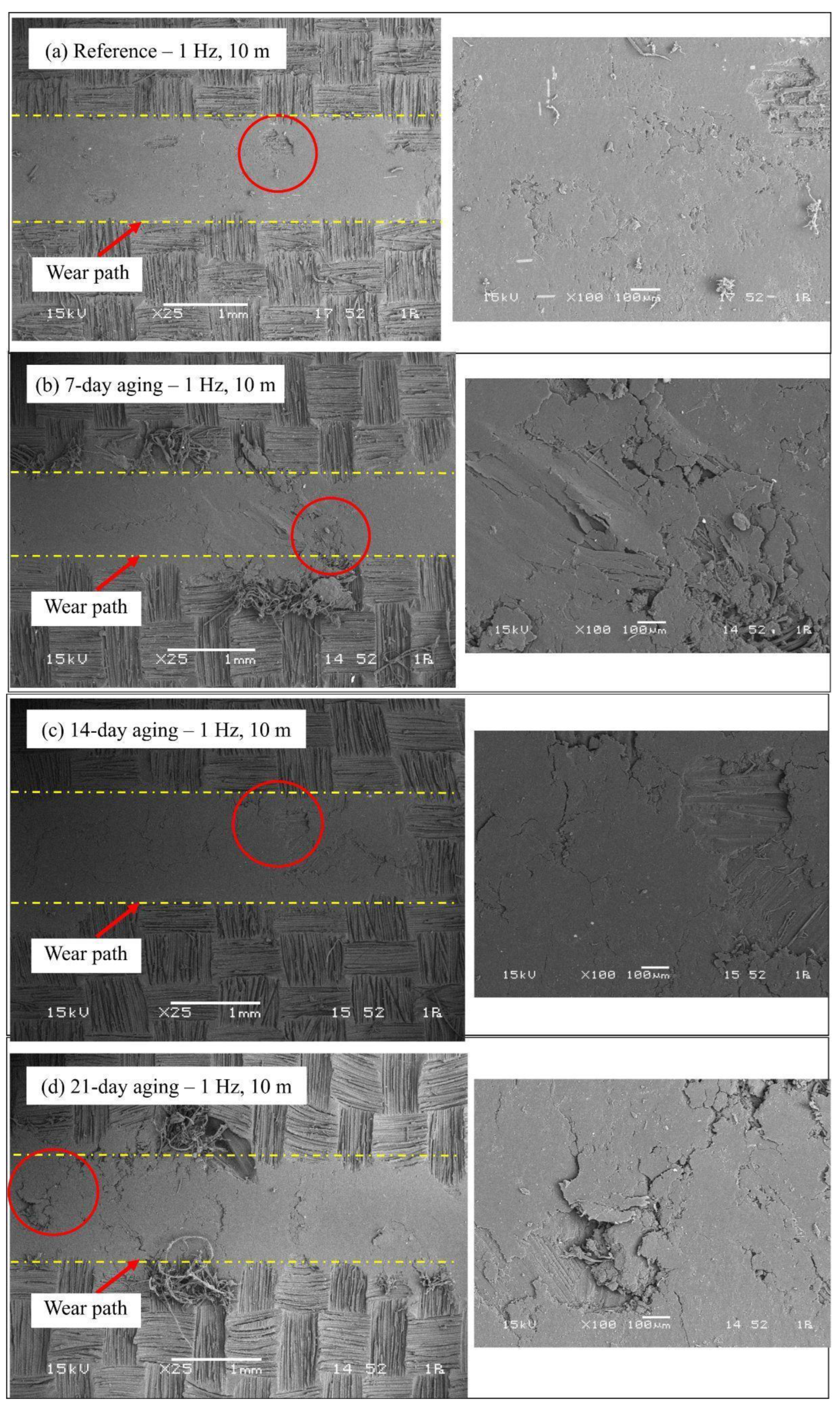 Polymers 17 02944 g011