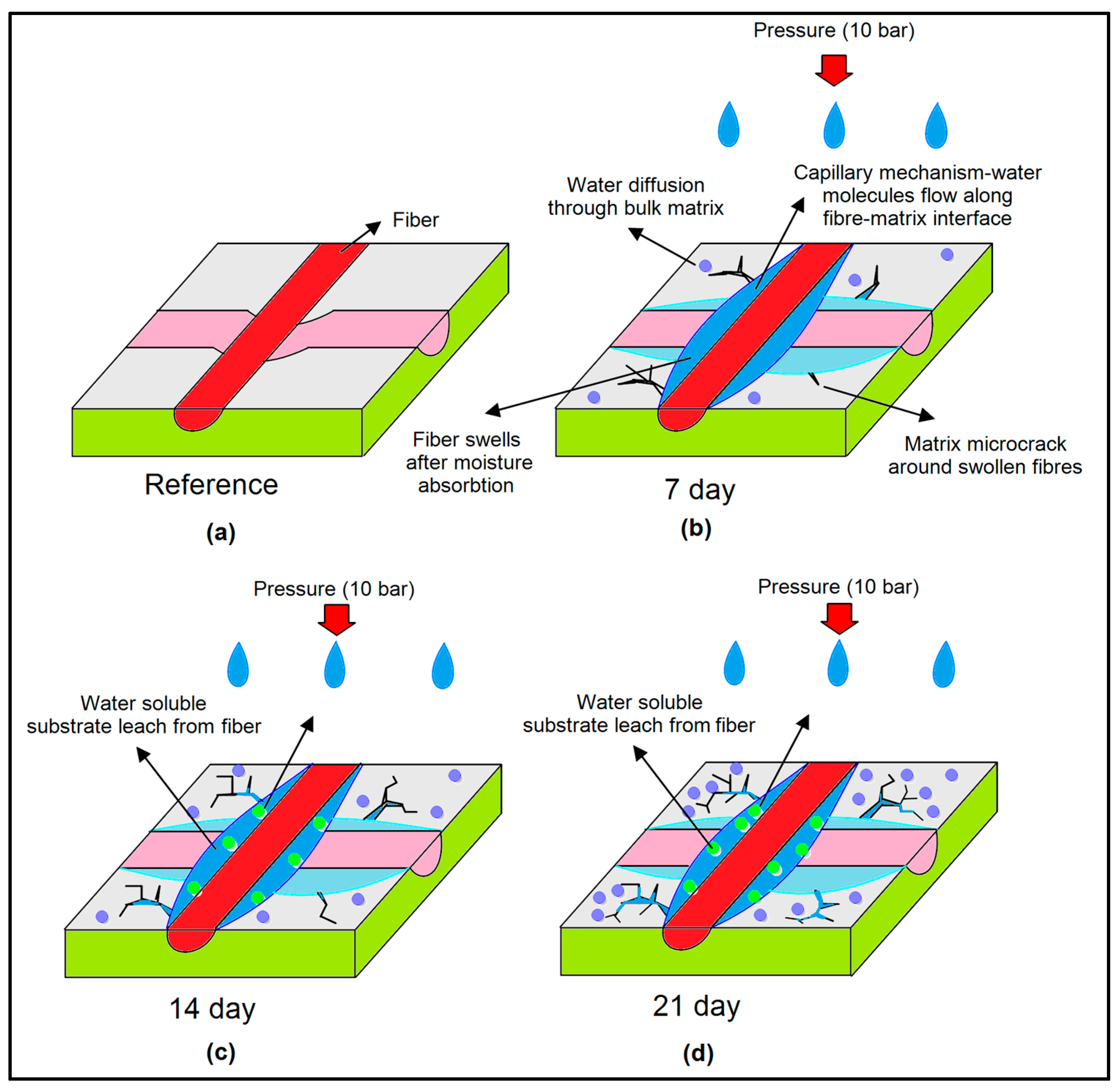 Polymers 17 02944 g013