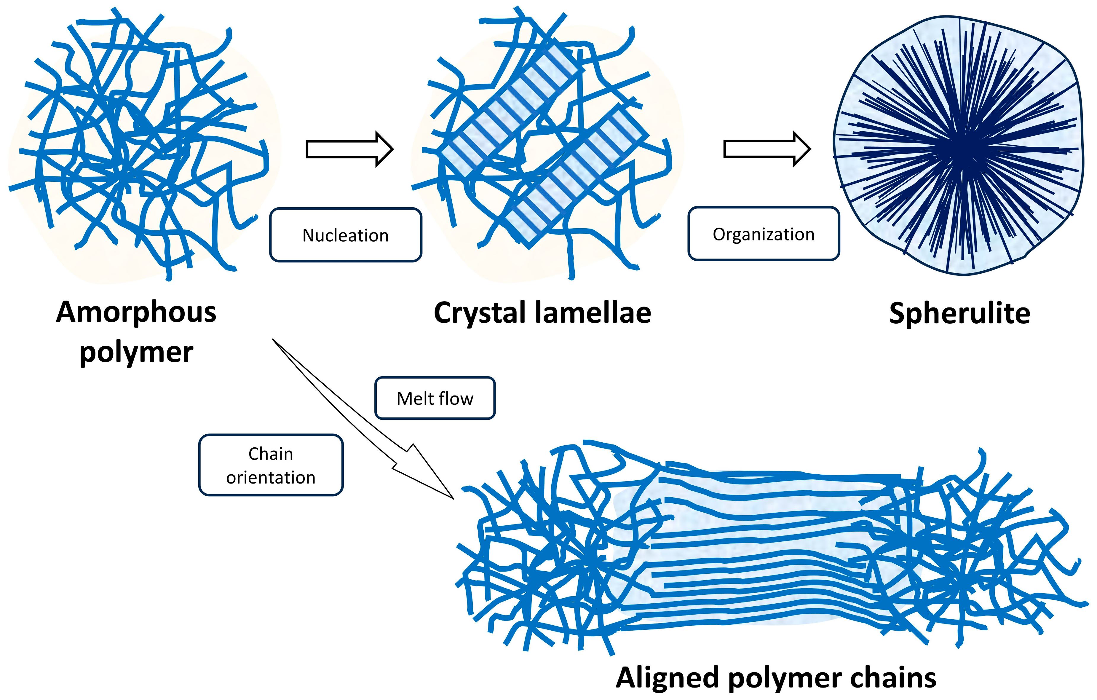 Polymers 17 02948 g002 Polymers 17 02948 g002