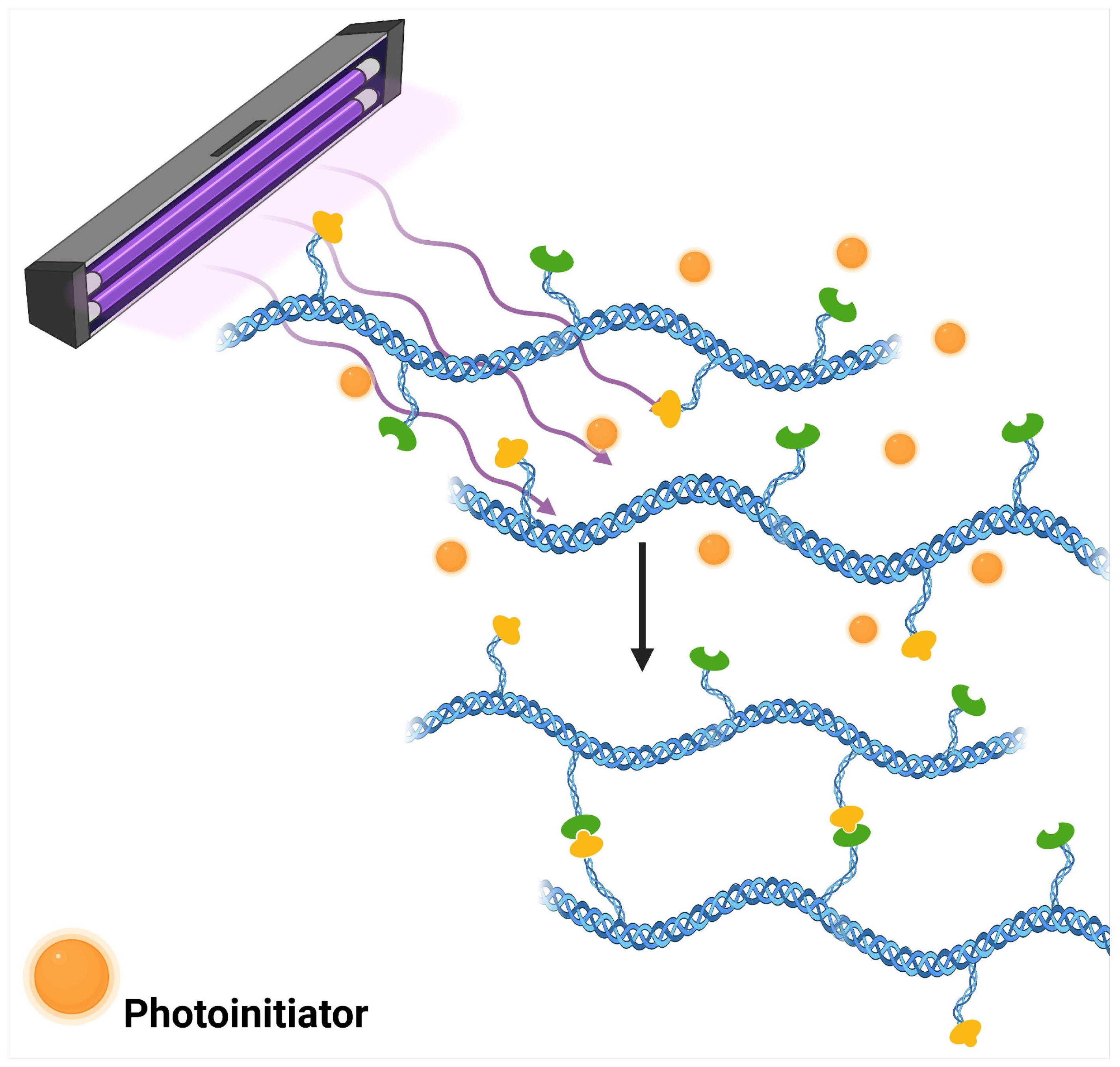 Polymers 17 02955 g002 Polymers 17 02955 g002