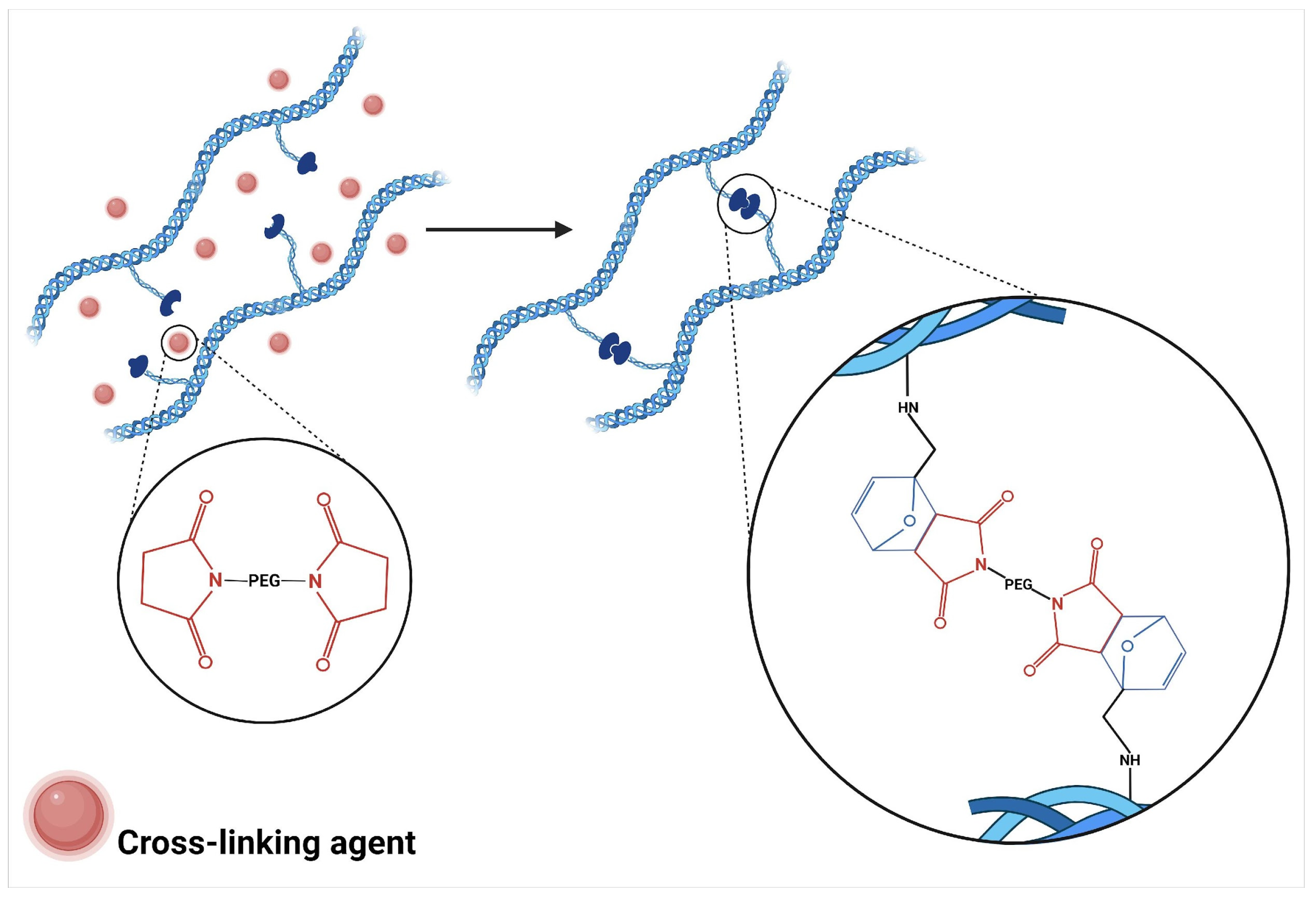 Polymers 17 02955 g003 Polymers 17 02955 g003