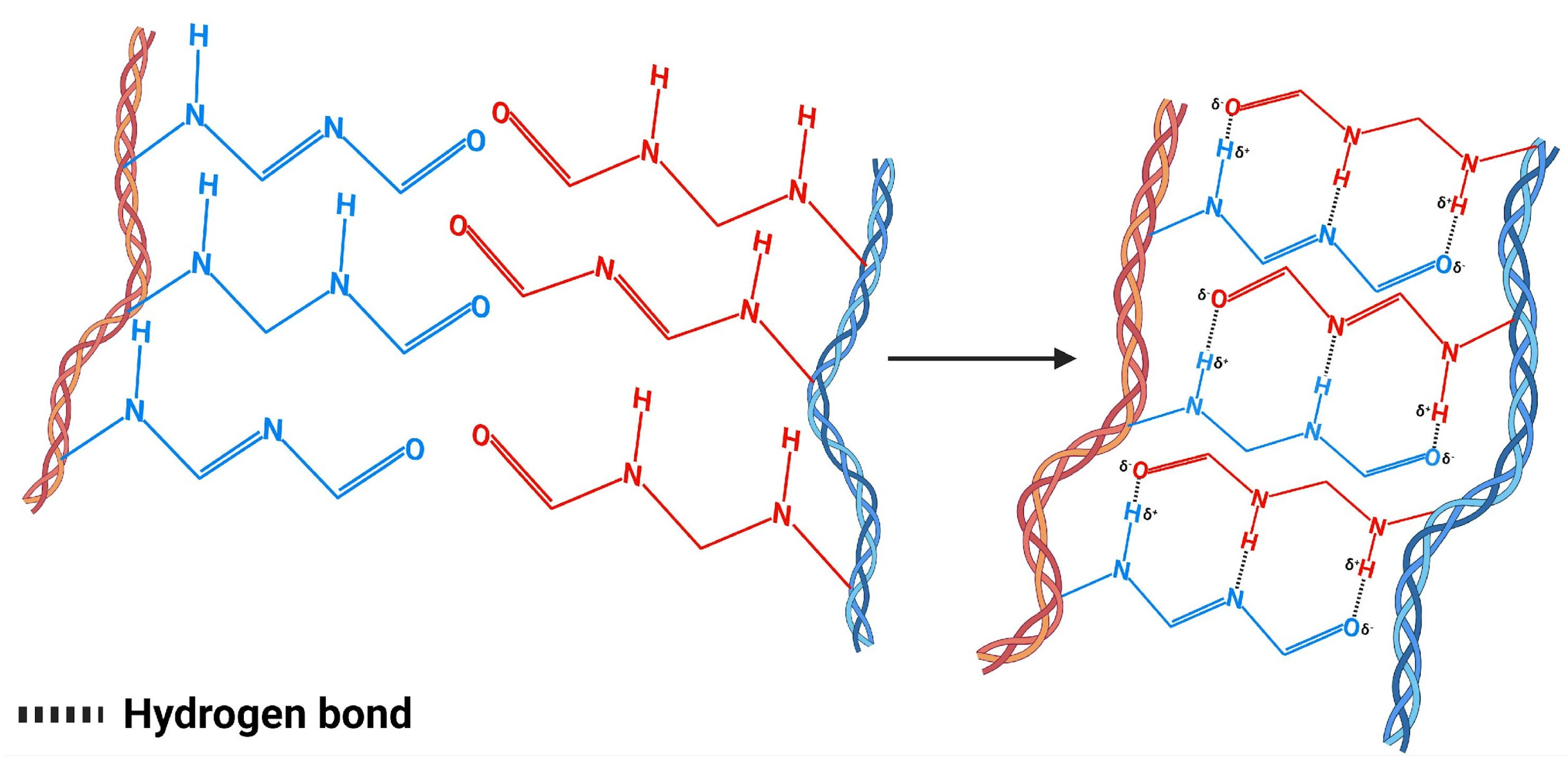 Polymers 17 02955 g005 Polymers 17 02955 g005