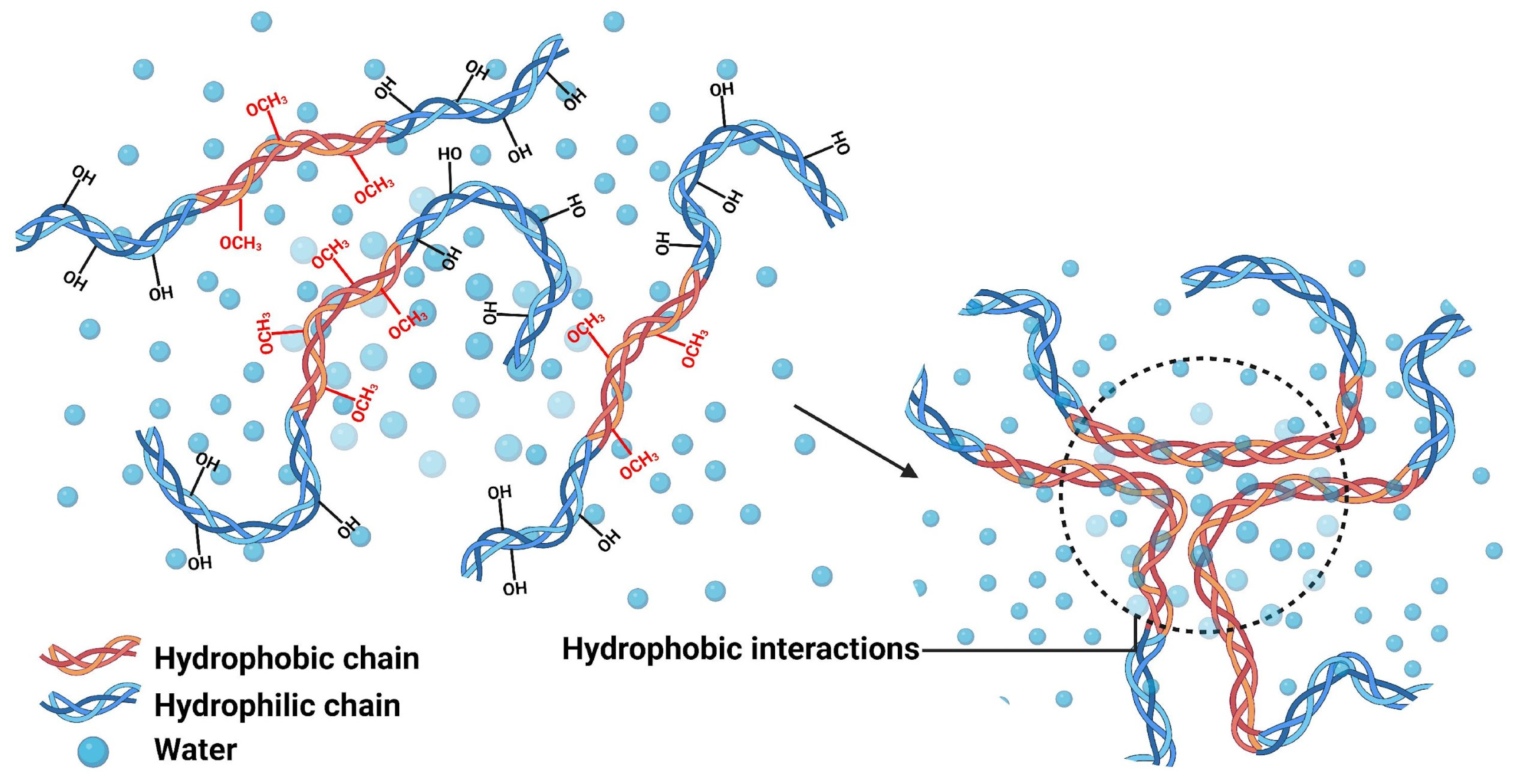 Polymers 17 02955 g006 Polymers 17 02955 g006