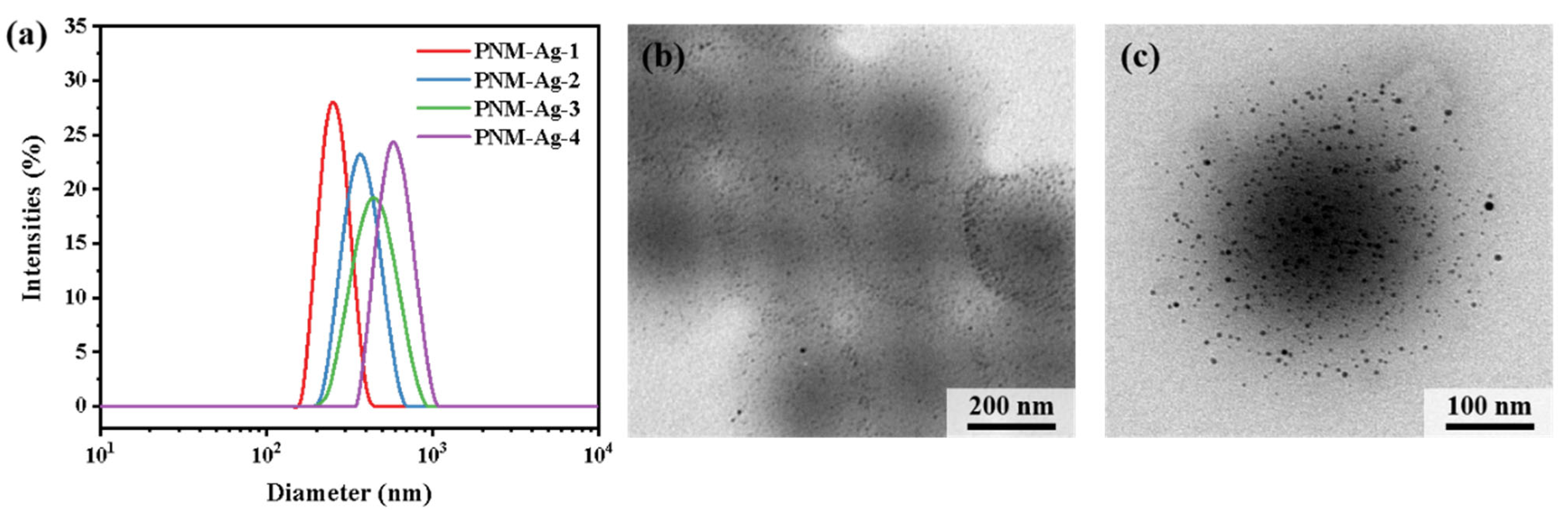 Polymers 17 02958 g002 Polymers 17 02958 g002
