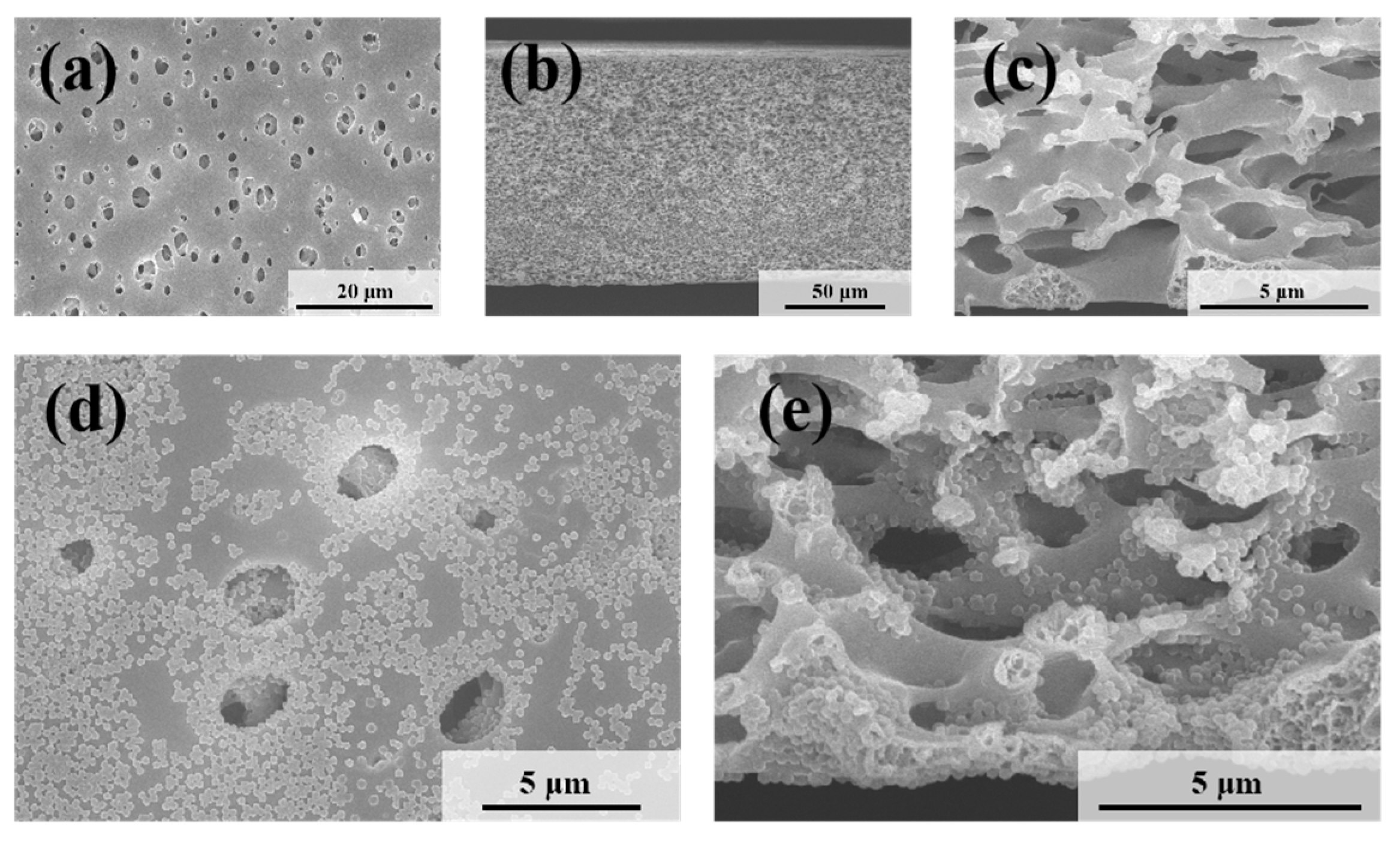 Polymers 17 02958 g004 Polymers 17 02958 g004