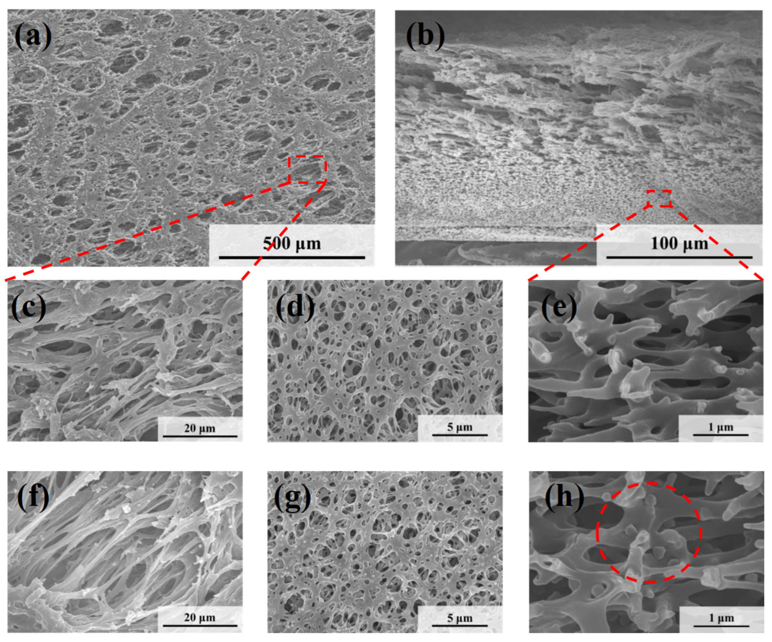 Polymers 17 02958 g005 Polymers 17 02958 g005