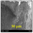 Polymers 17 02960 i017