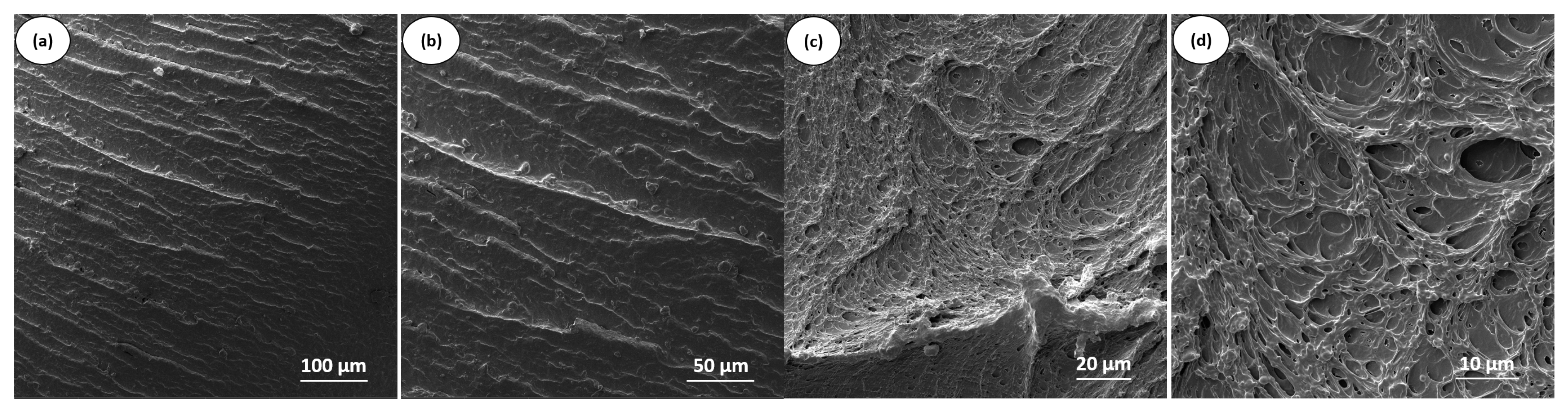 Polymers 17 02962 g010