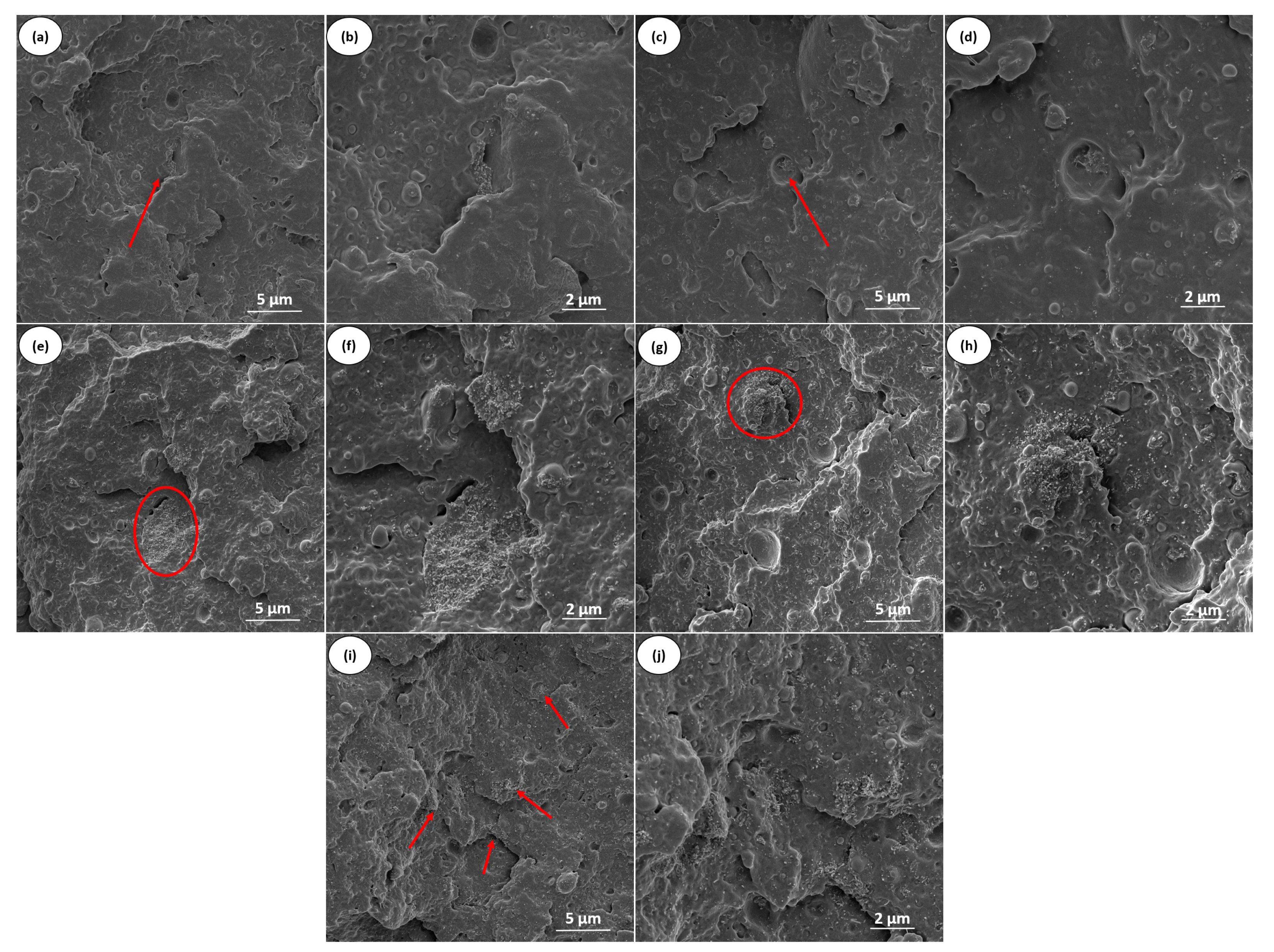 Polymers 17 02962 g011