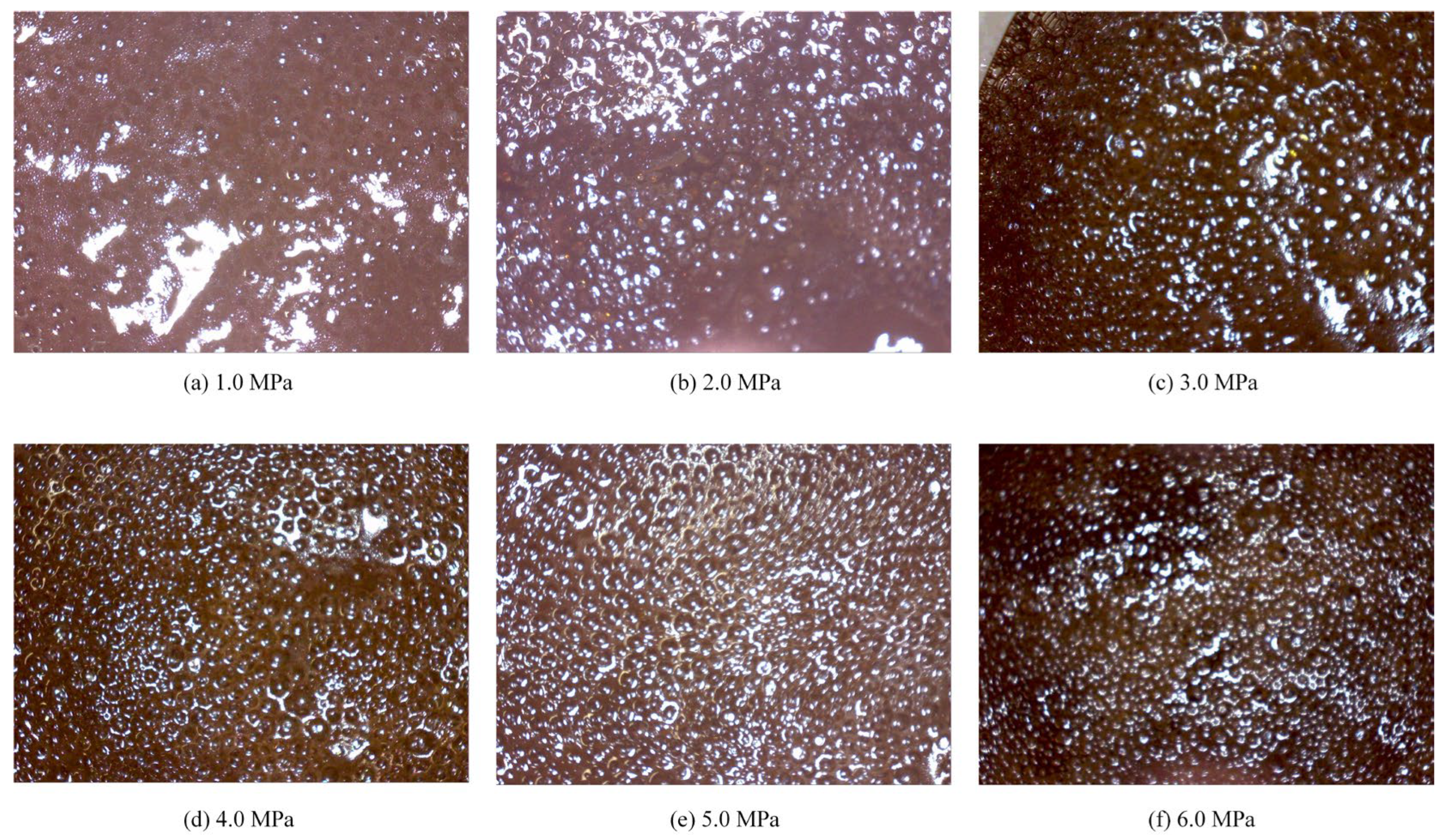 Polymers 17 02966 g016