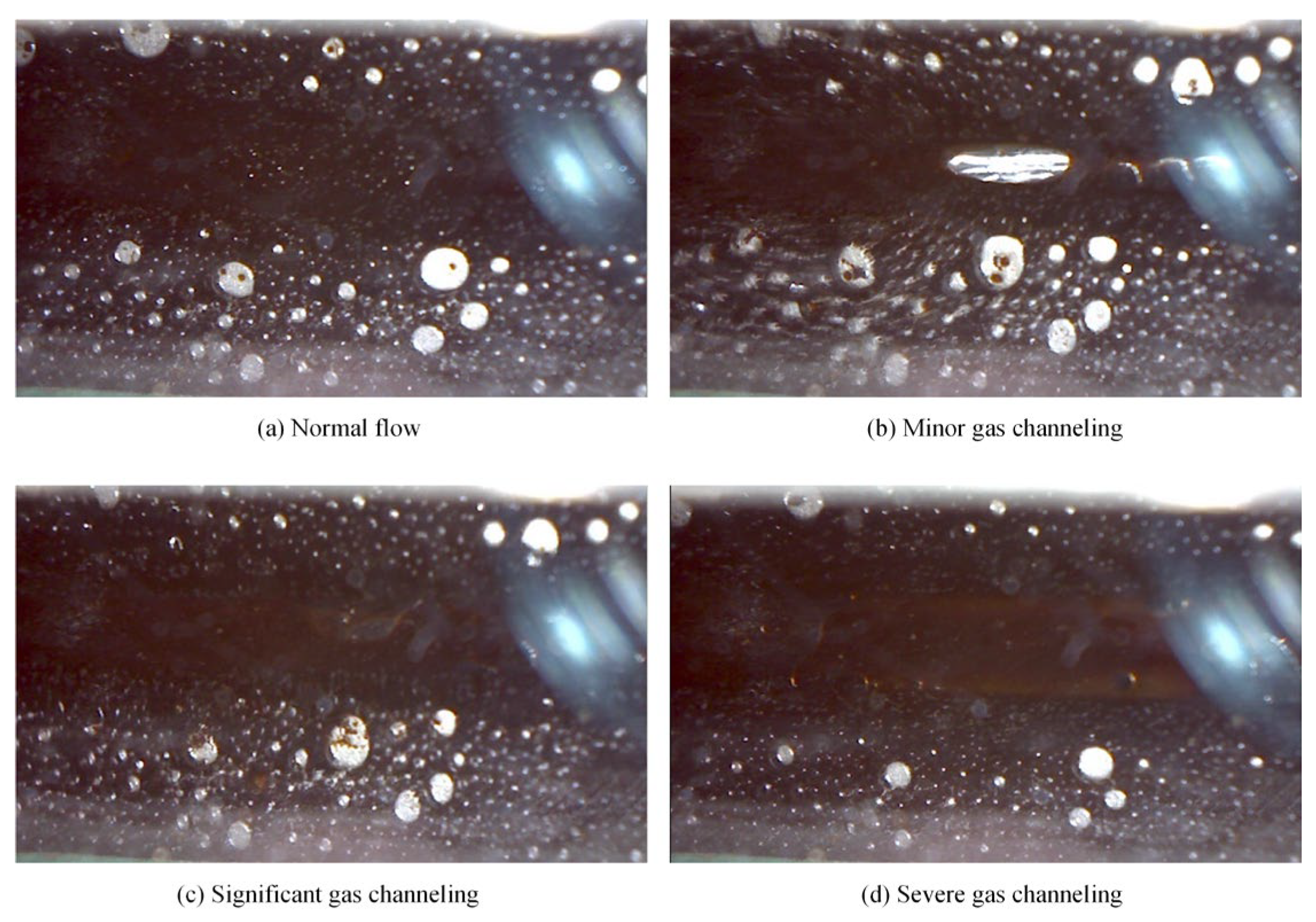 Polymers 17 02966 g019