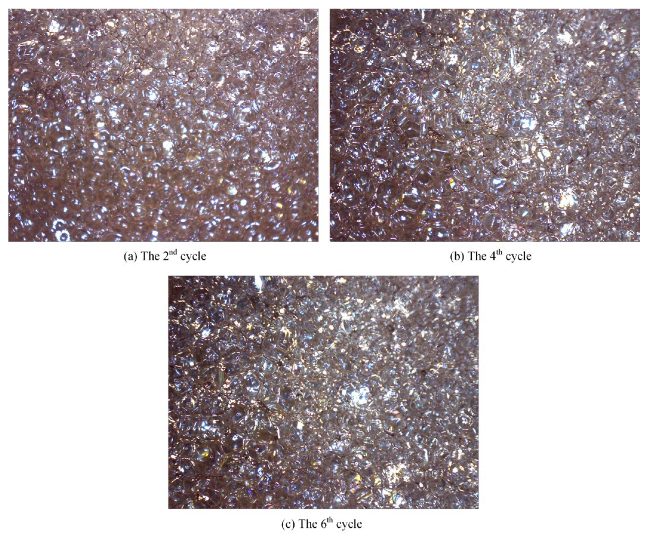 Polymers 17 02966 g020