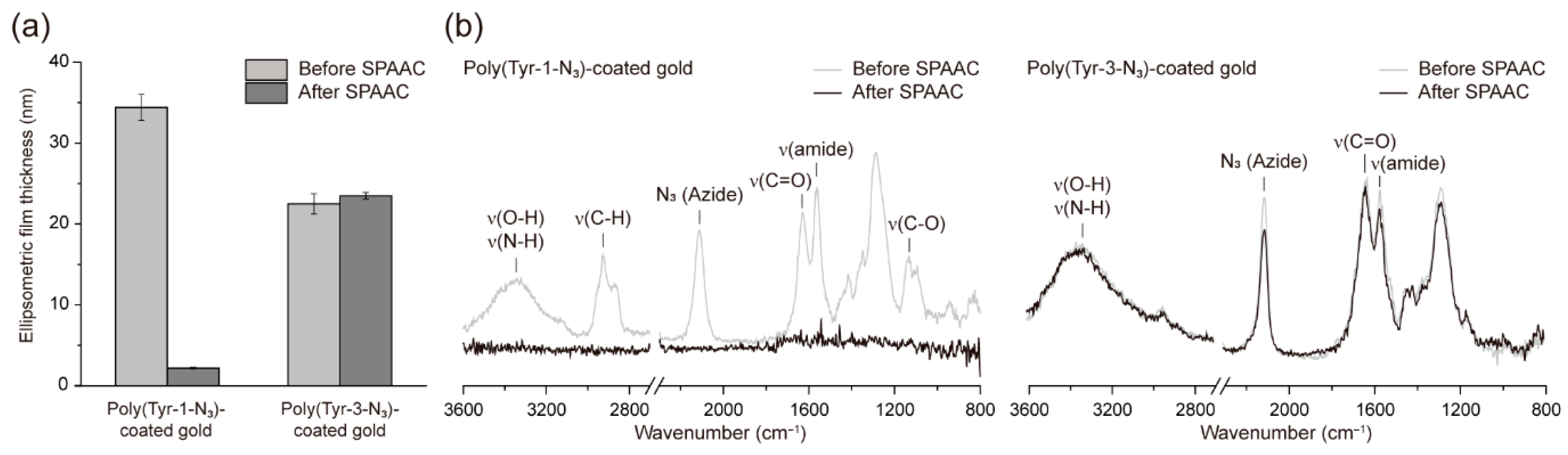 Polymers 17 02969 g002 Polymers 17 02969 g002