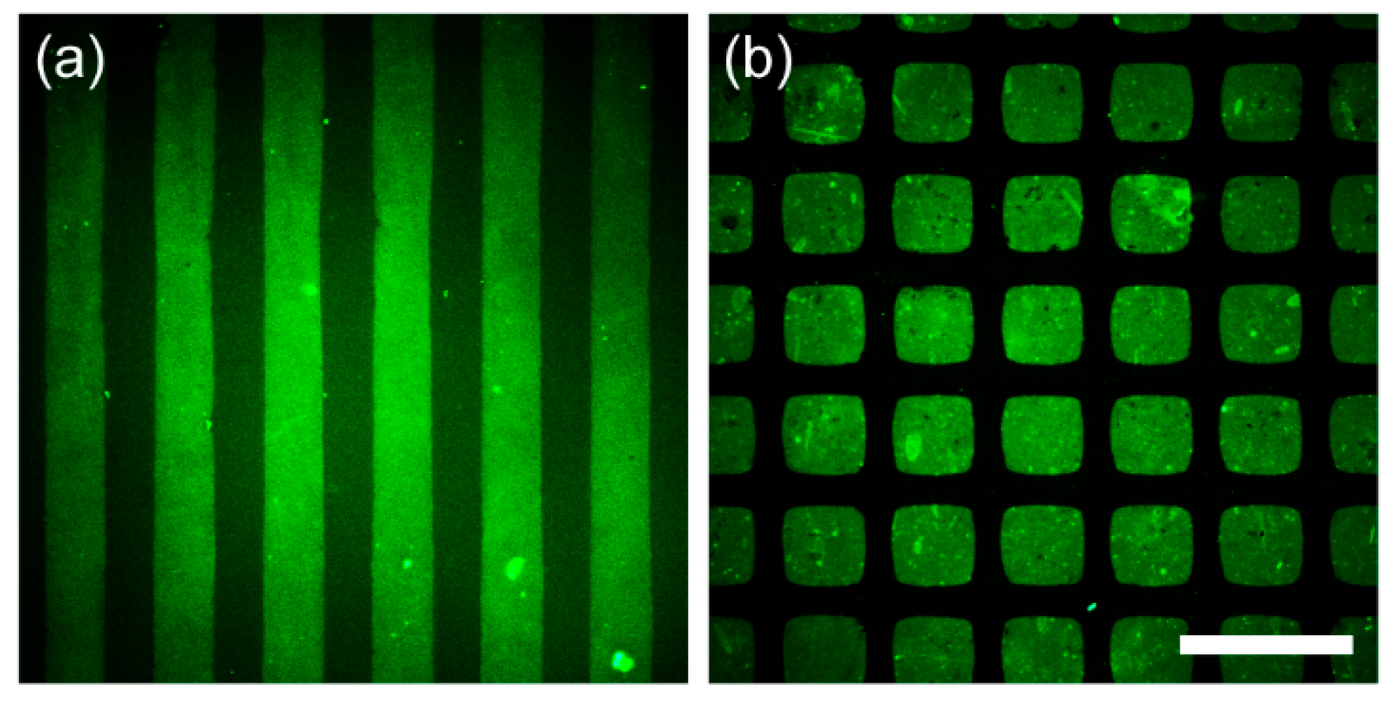 Polymers 17 02969 g003 Polymers 17 02969 g003