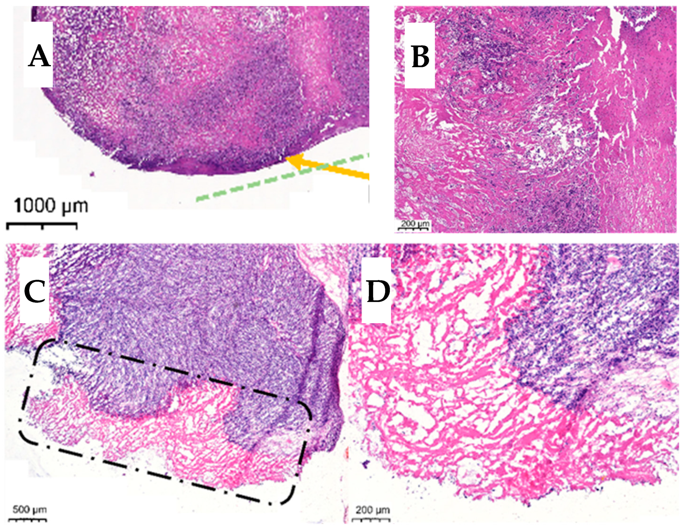 Polymers 17 02972 g006 Polymers 17 02972 g006