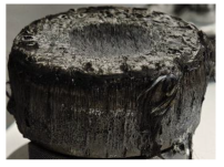 Polymers 17 02974 i006