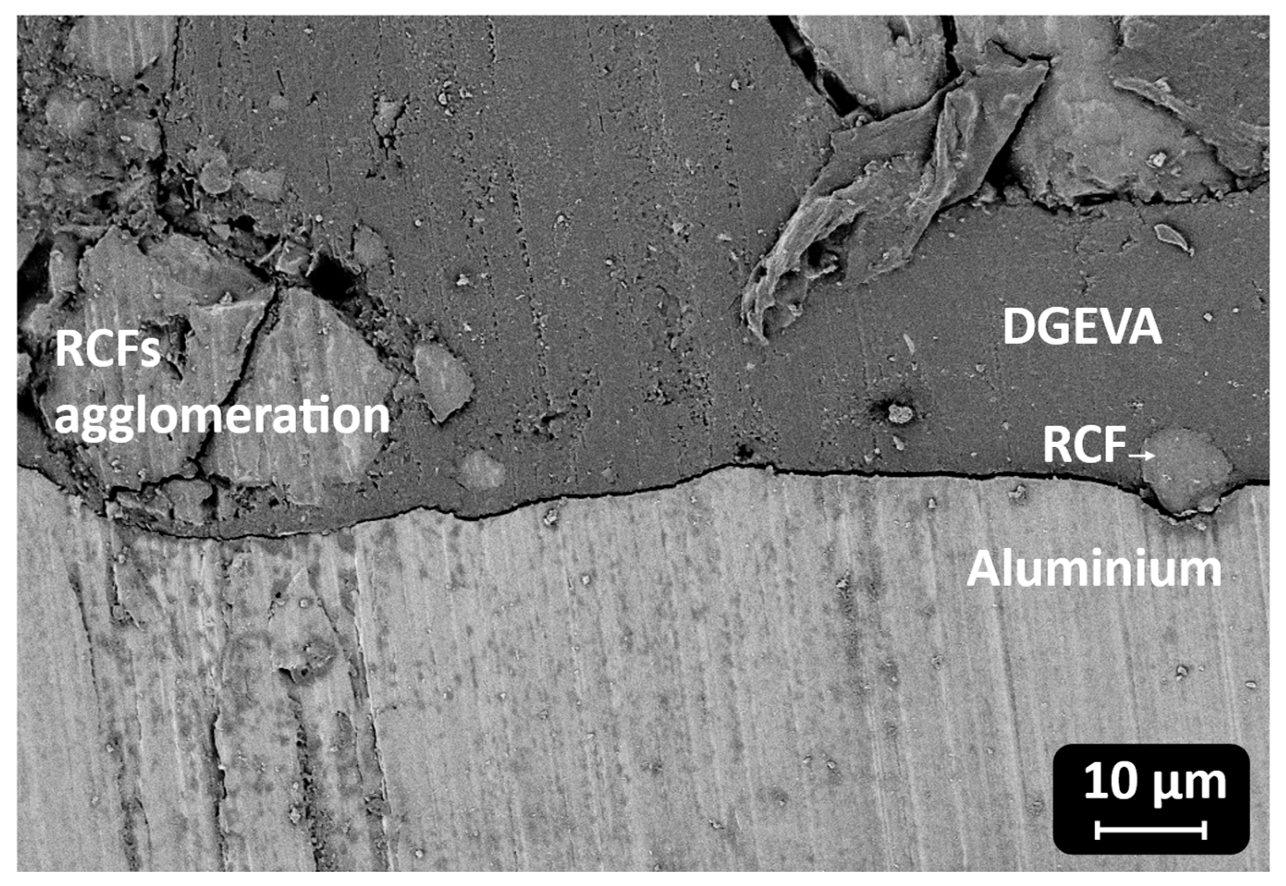 Polymers 17 02975 g013