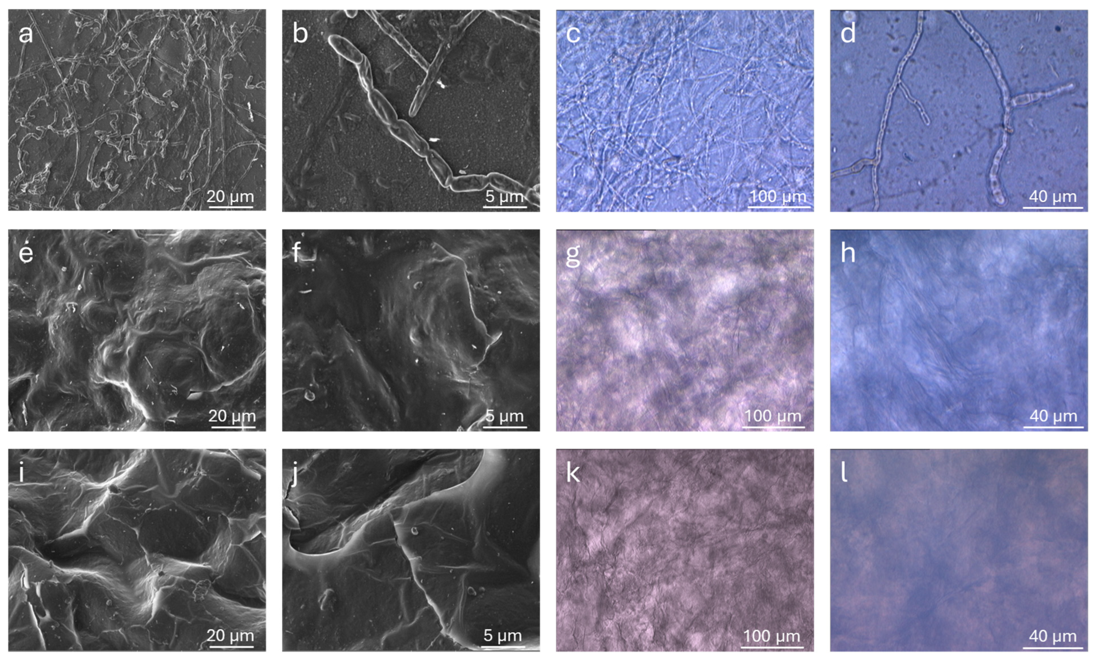 Polymers 17 02976 g009