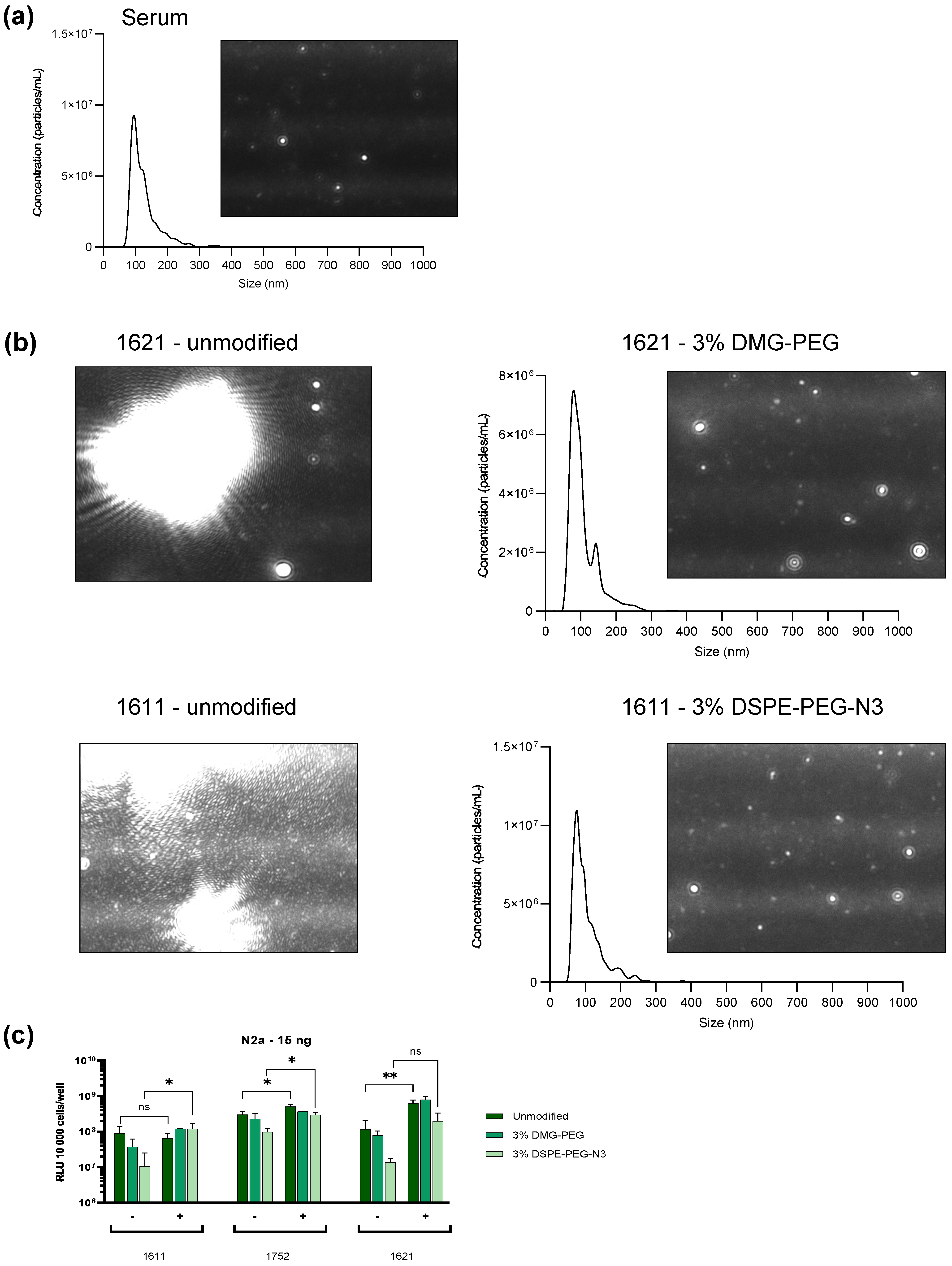 Polymers 17 02979 g006