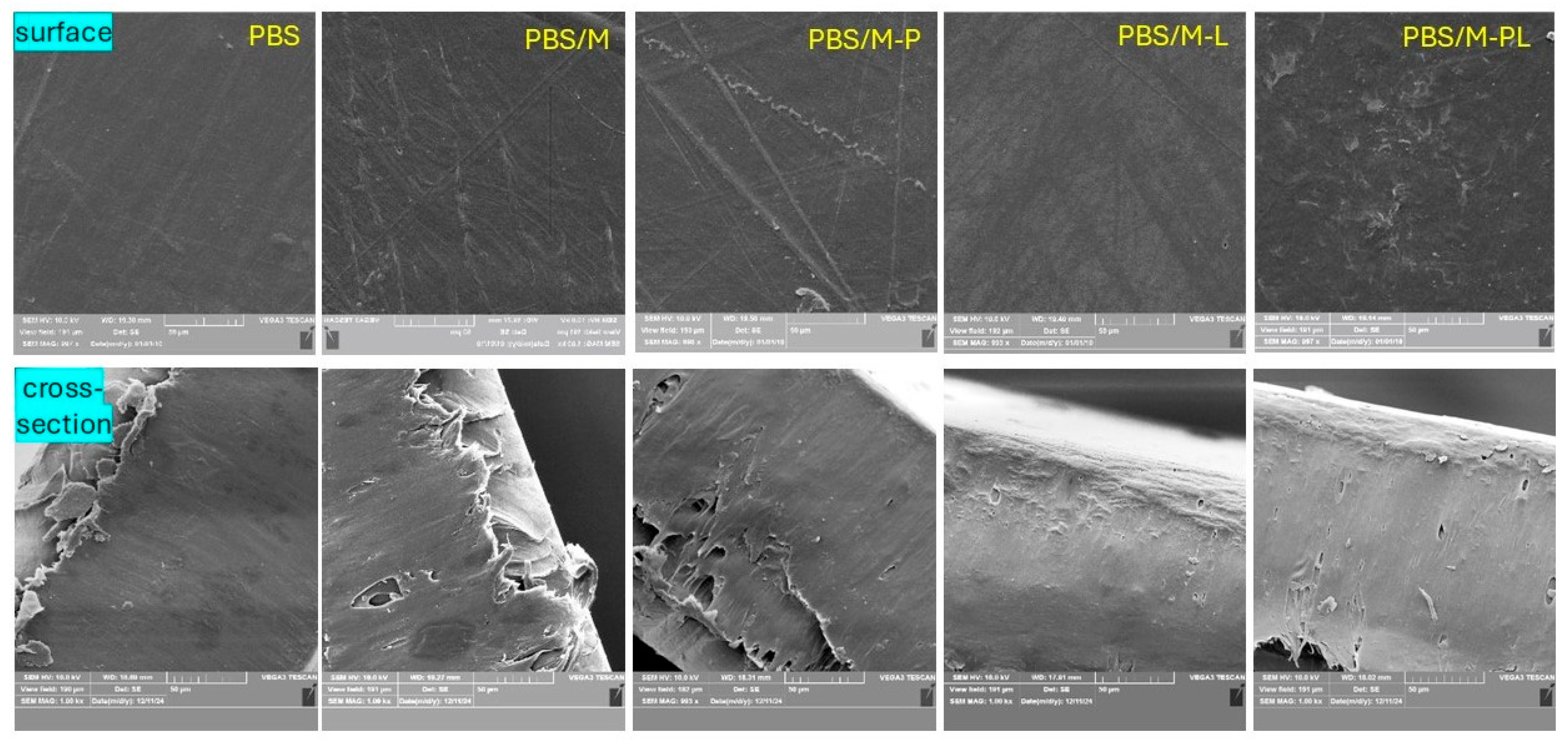 Polymers 17 02984 g009