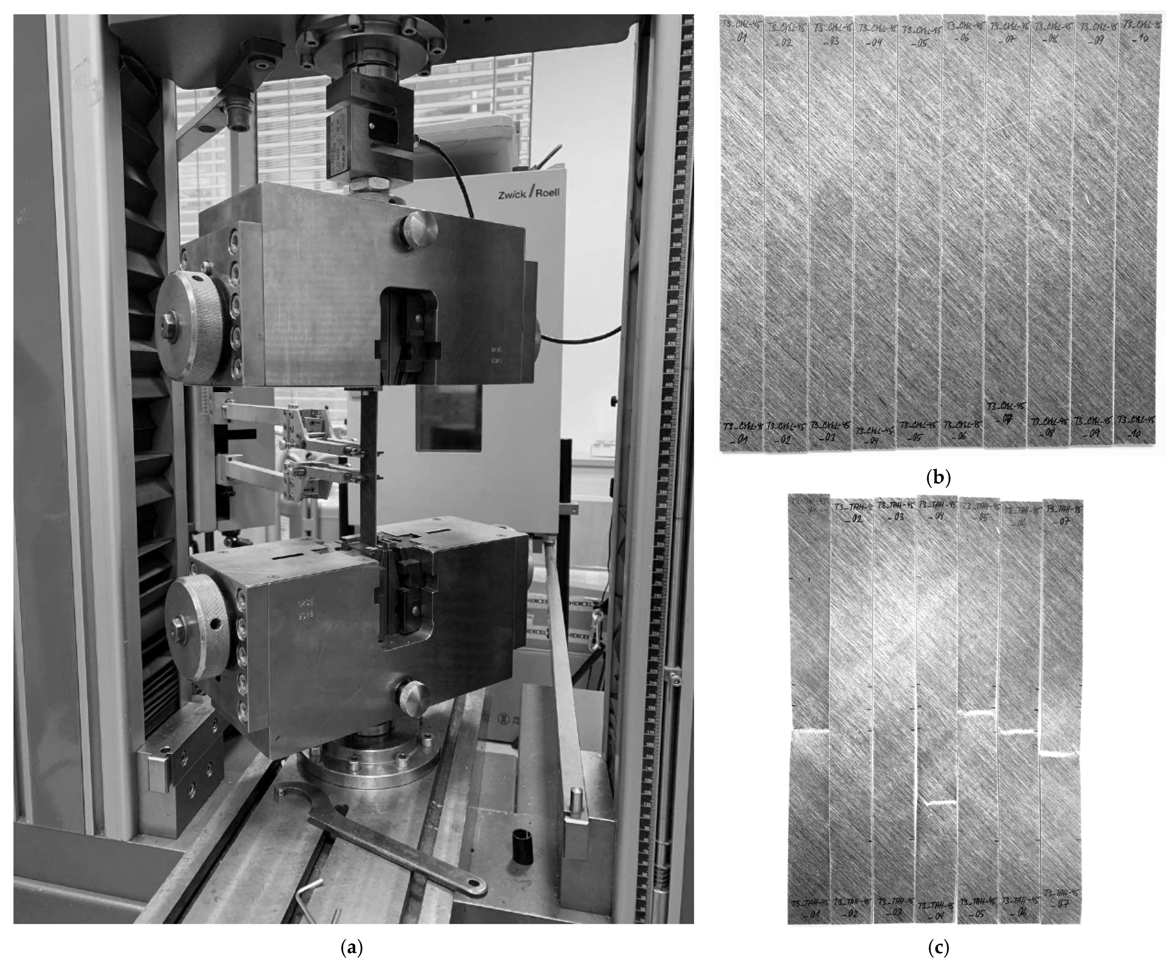Polymers 17 02985 g002