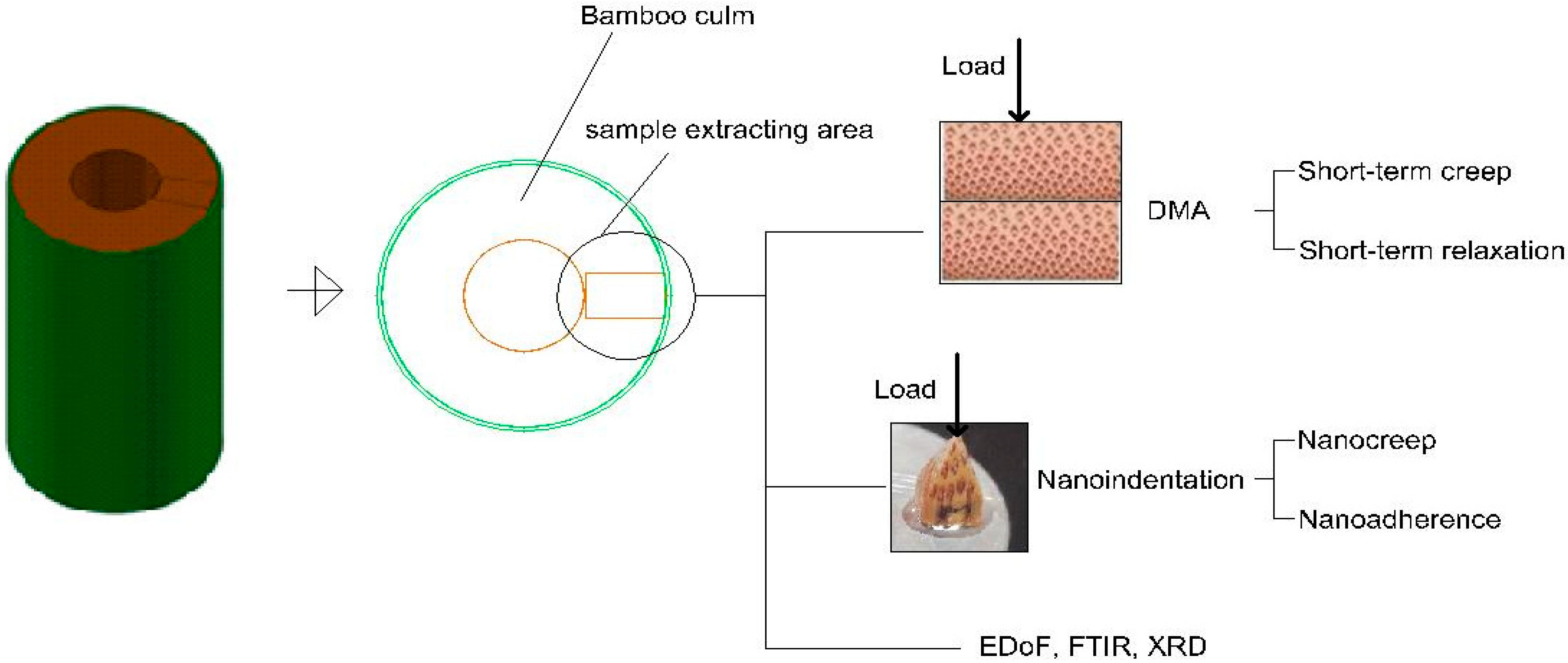 Polymers 17 02989 g001