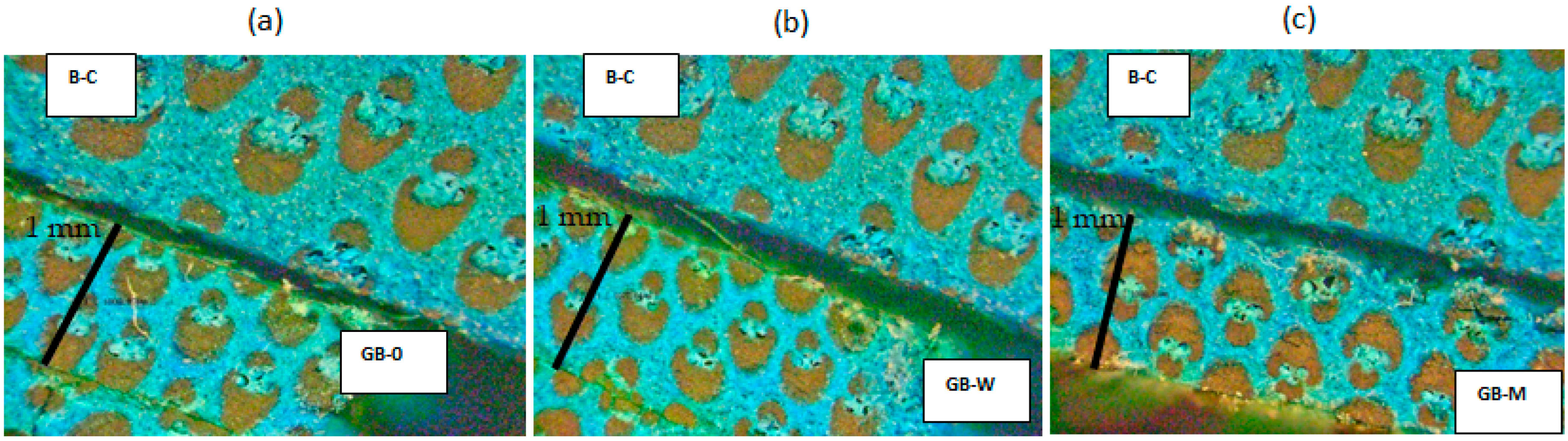 Polymers 17 02989 g007