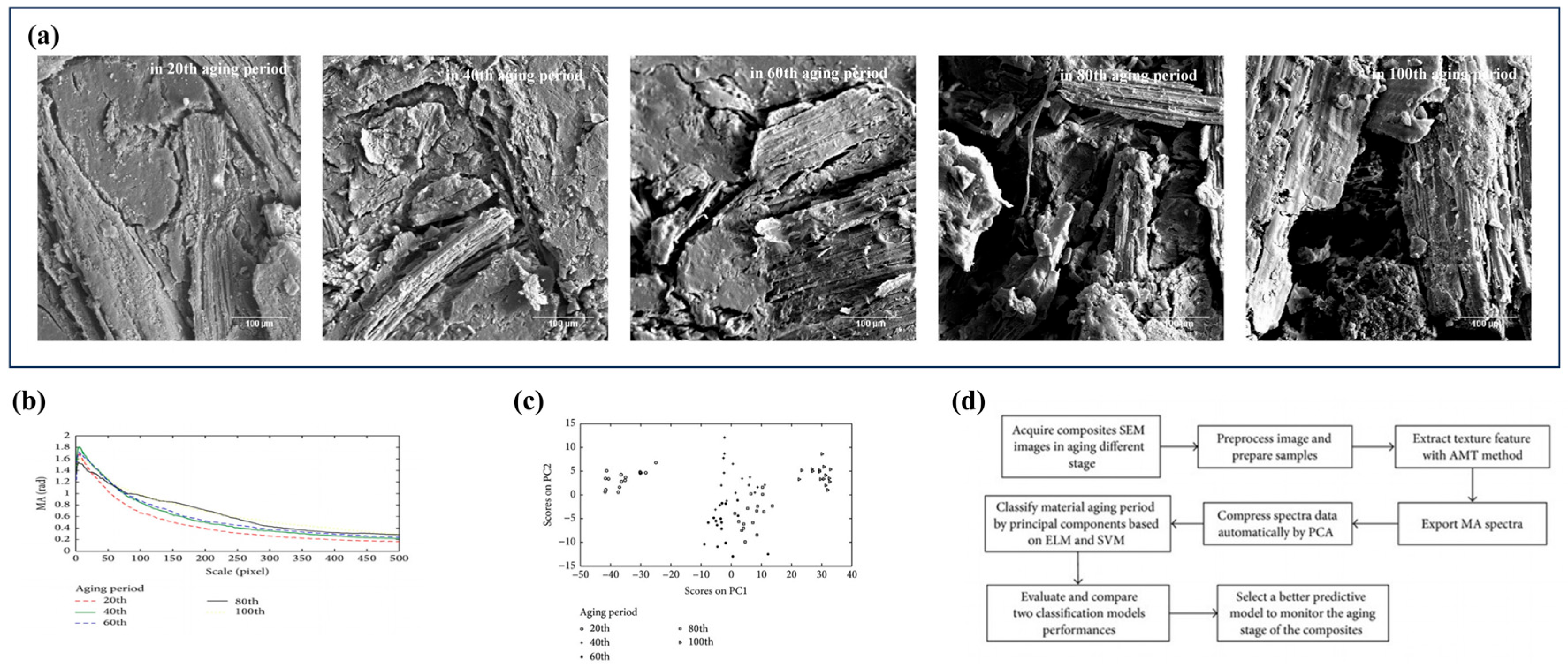 Polymers 17 02991 g001