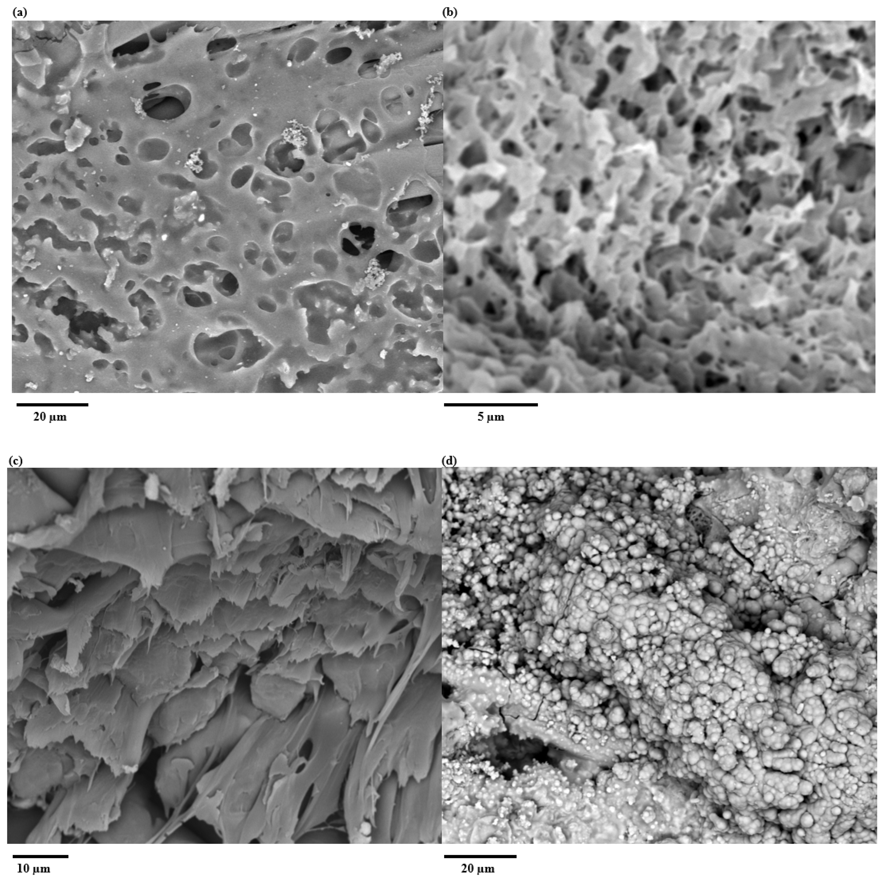 Polymers 17 02995 g002a
