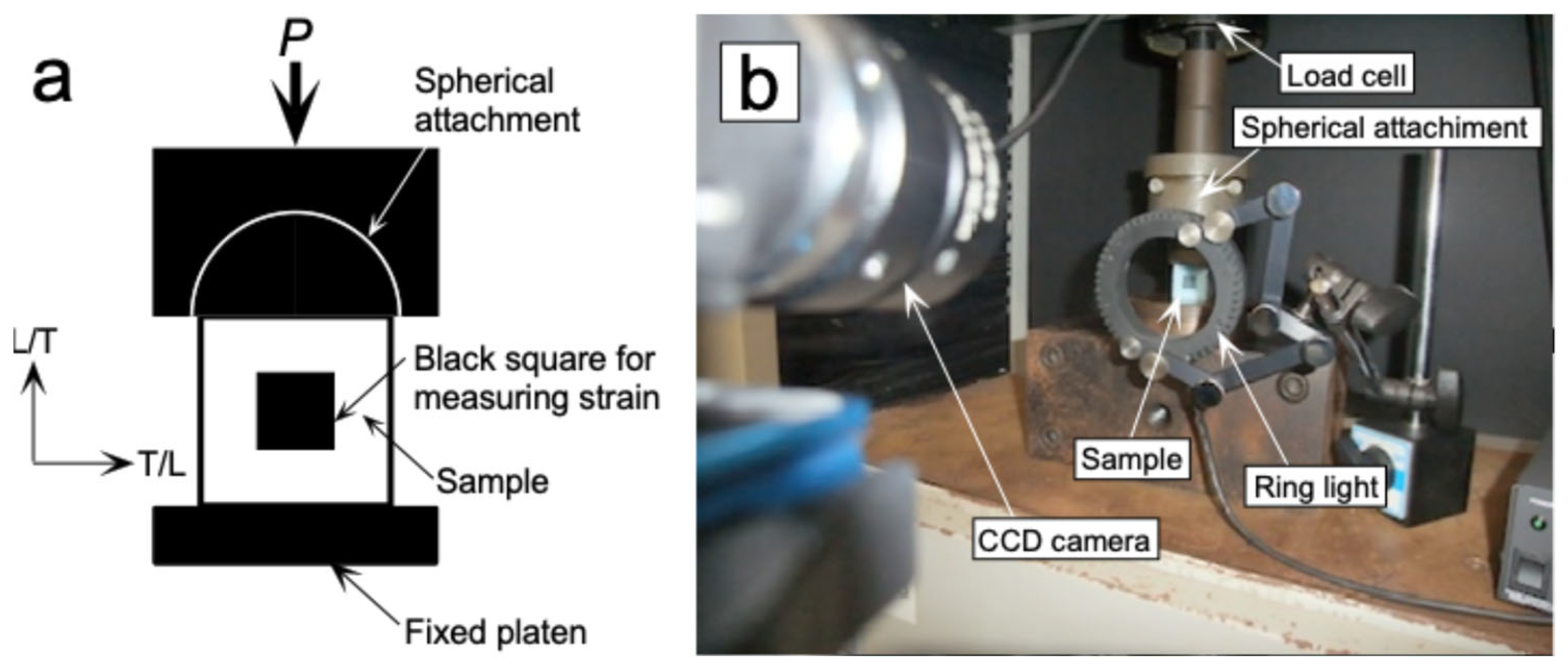 Polymers 17 02997 g005