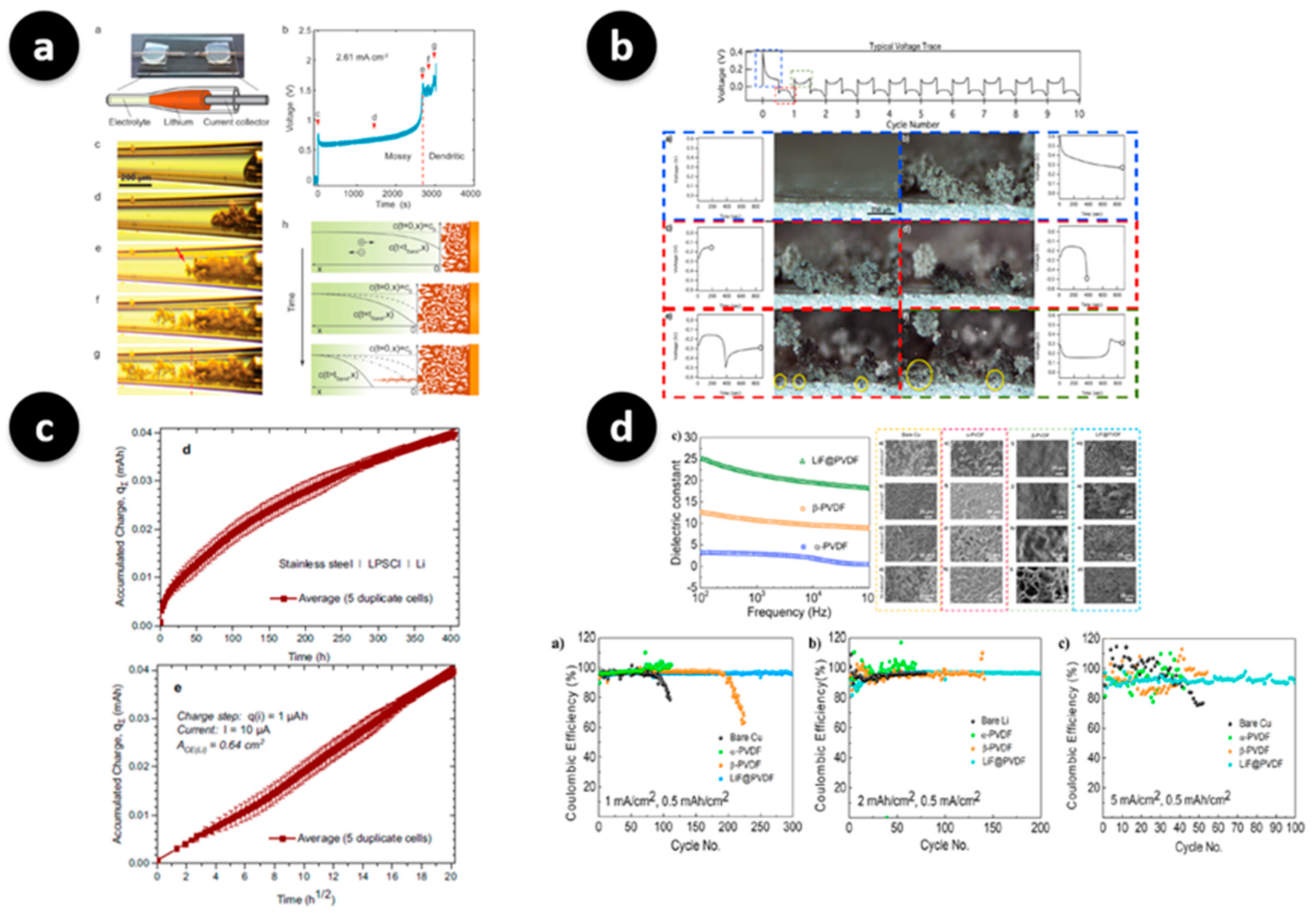 Polymers 17 02999 g002