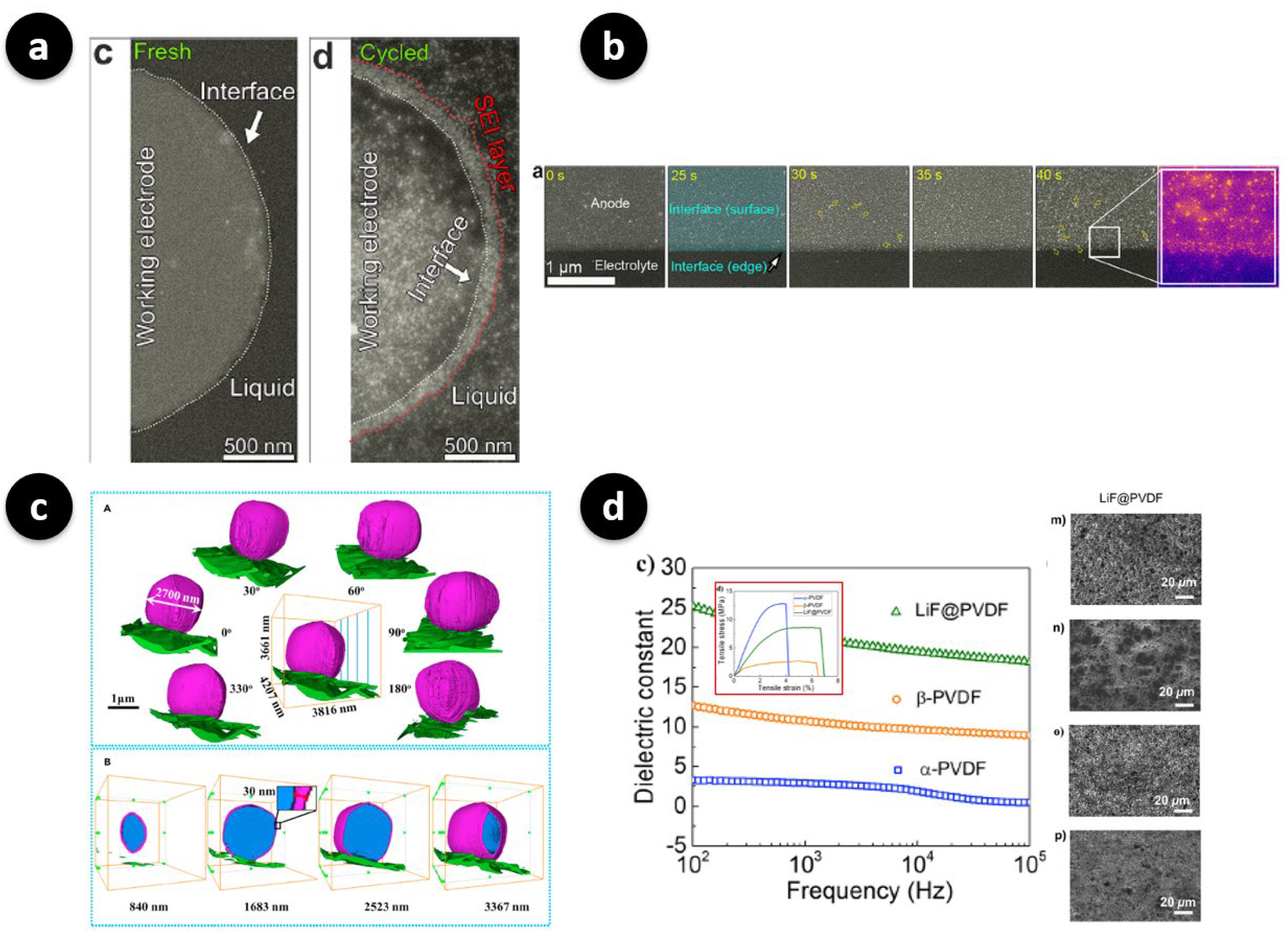 Polymers 17 02999 g004