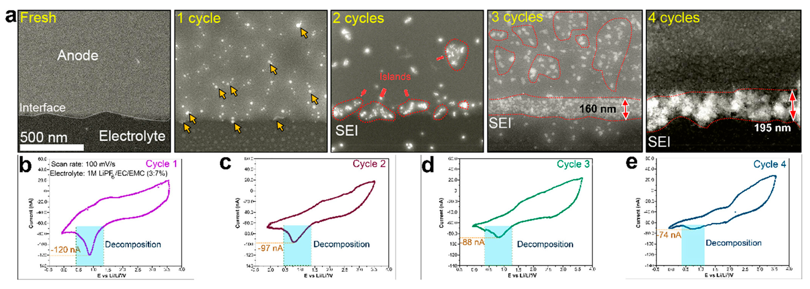 Polymers 17 02999 g005