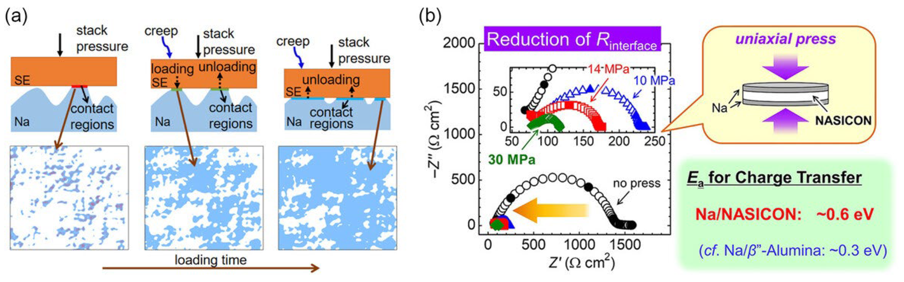 Polymers 17 02999 g006