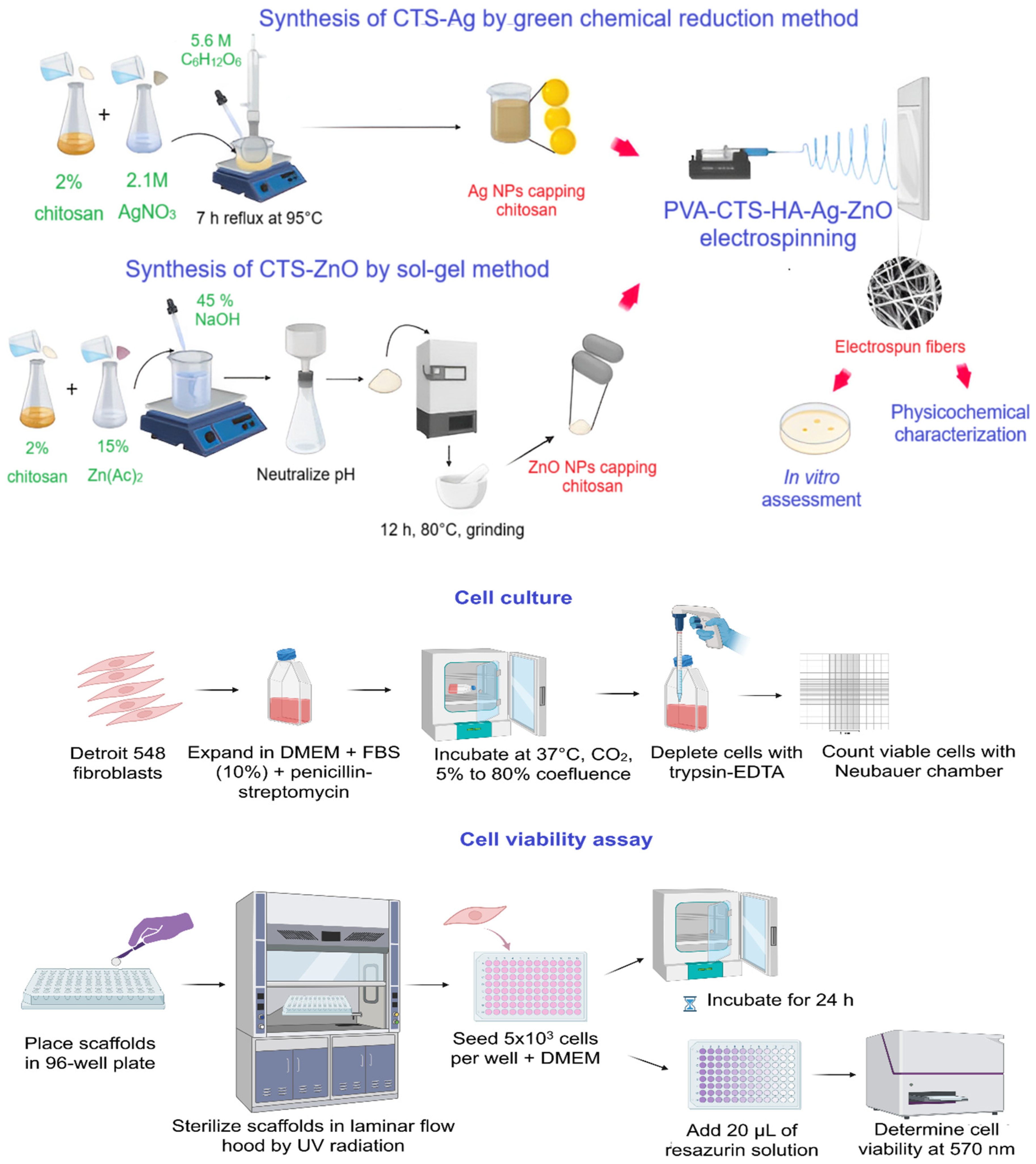Polymers 17 03001 g001 Polymers 17 03001 g001