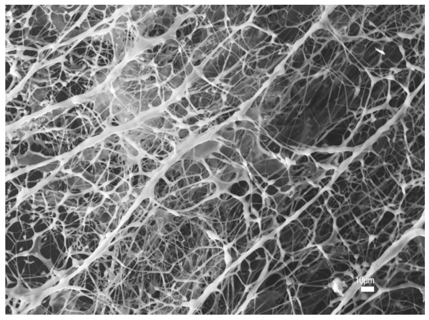 Polymers 17 03005 g005