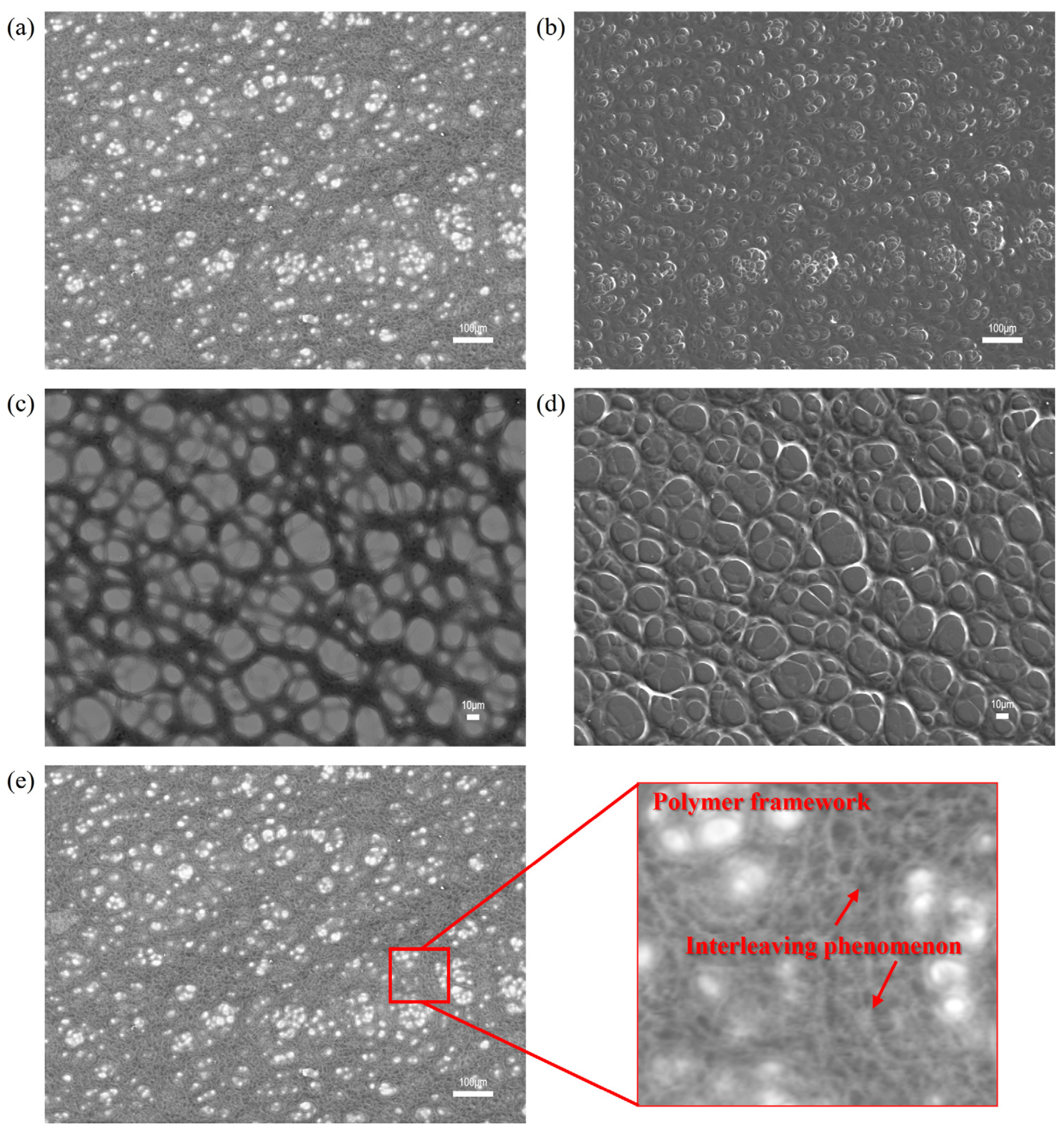 Polymers 17 03005 g007