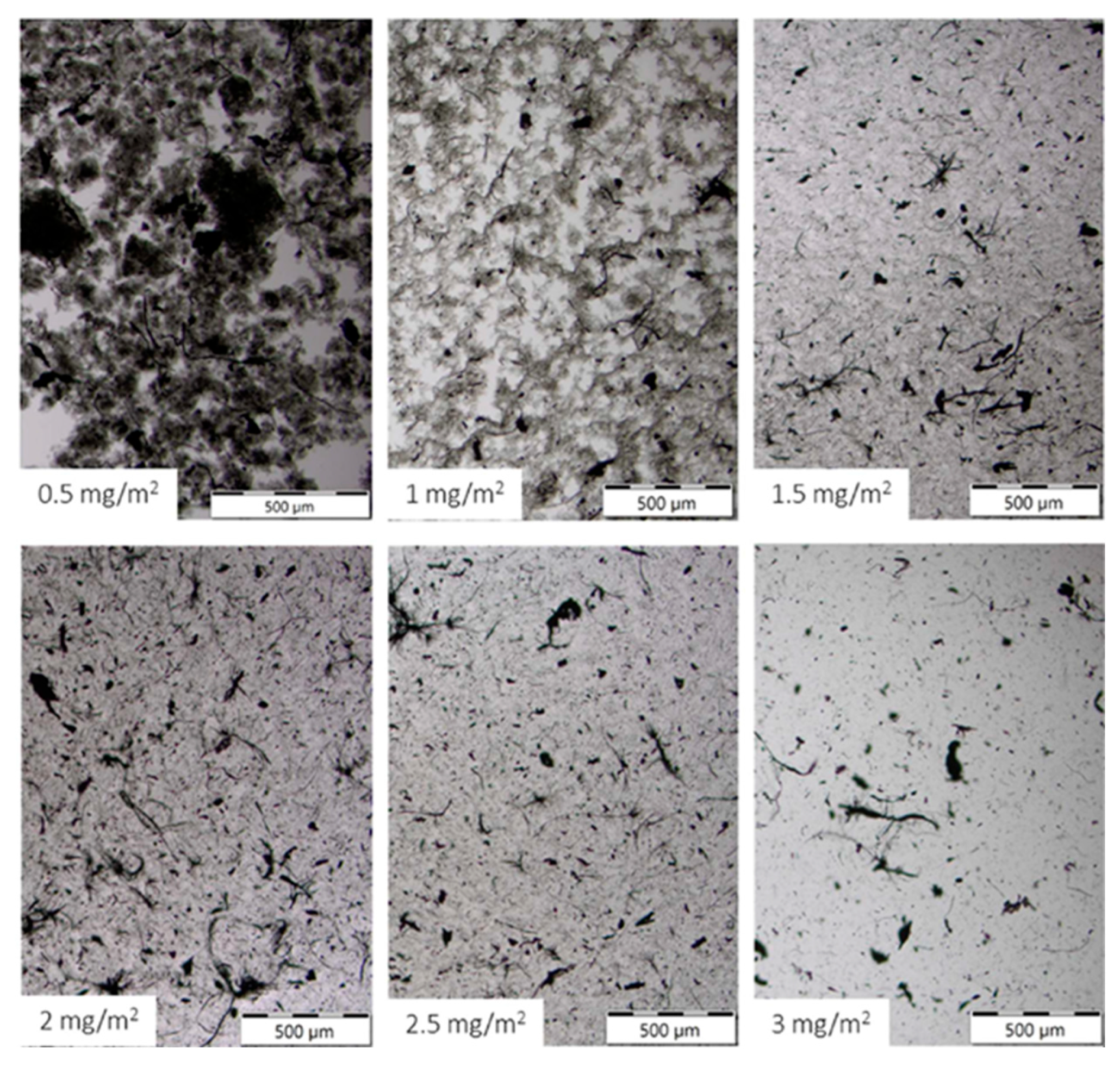 Polymers 17 03007 g004