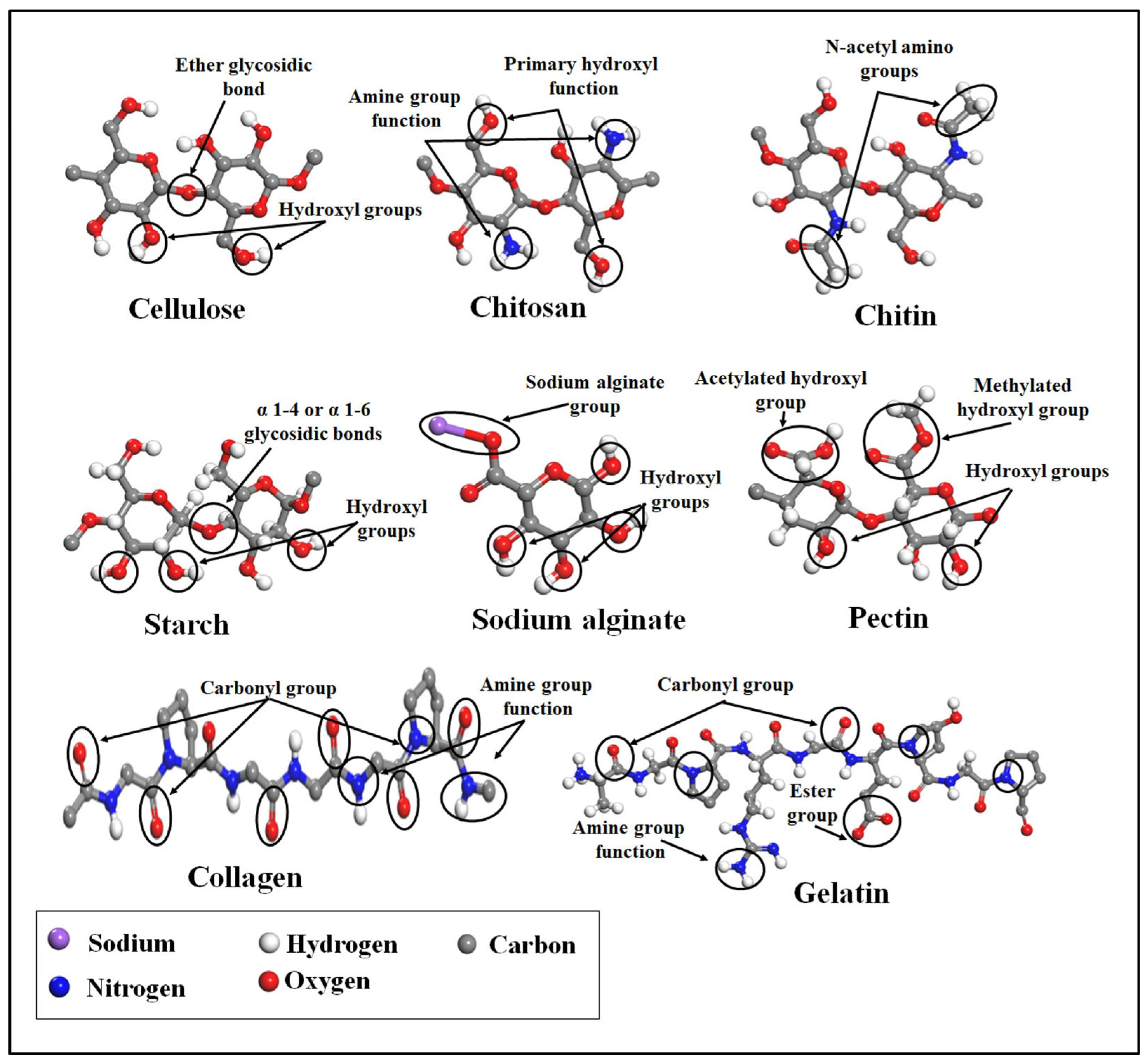 Polymers 17 03012 g001
