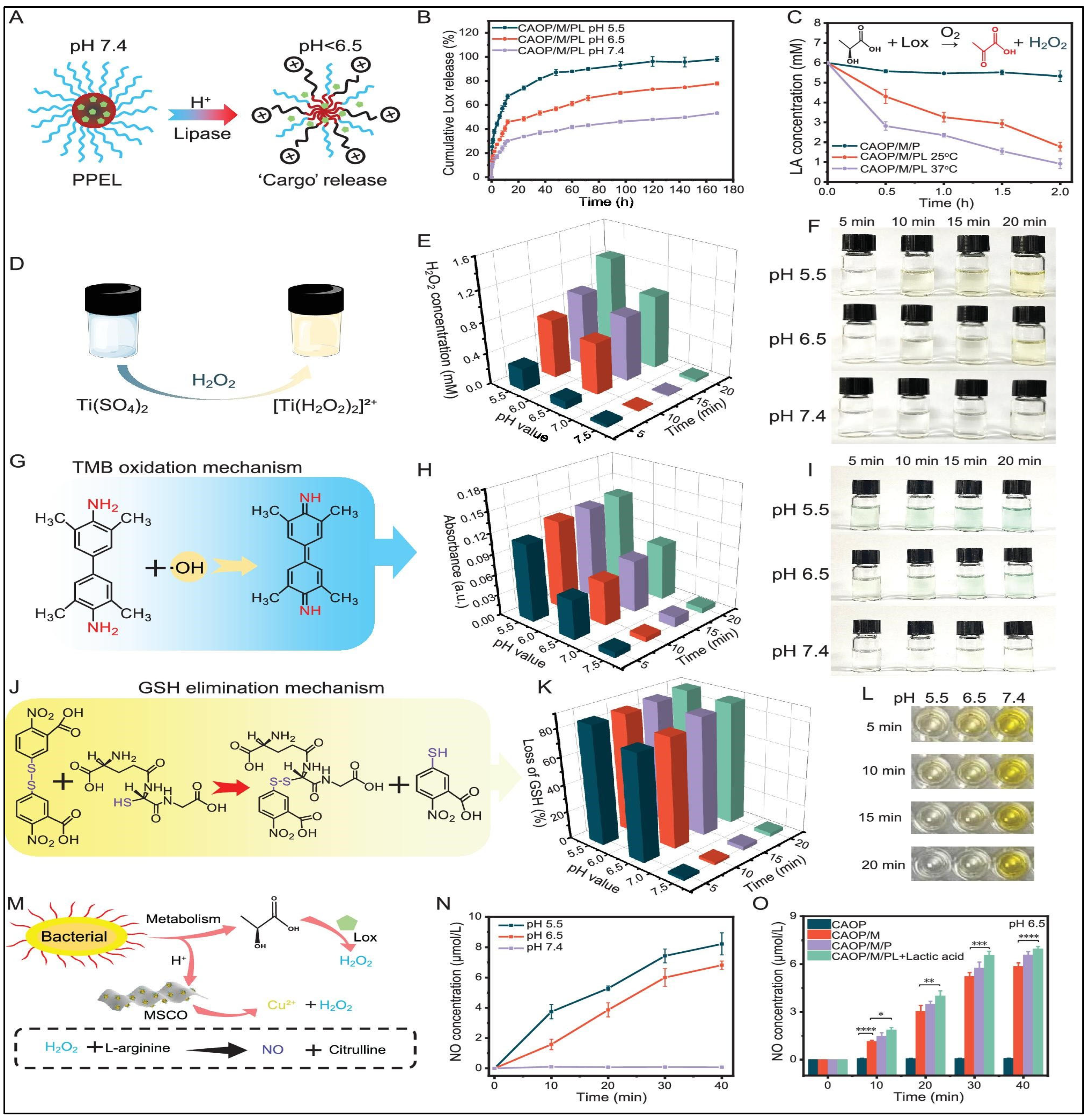 Polymers 17 03012 g005