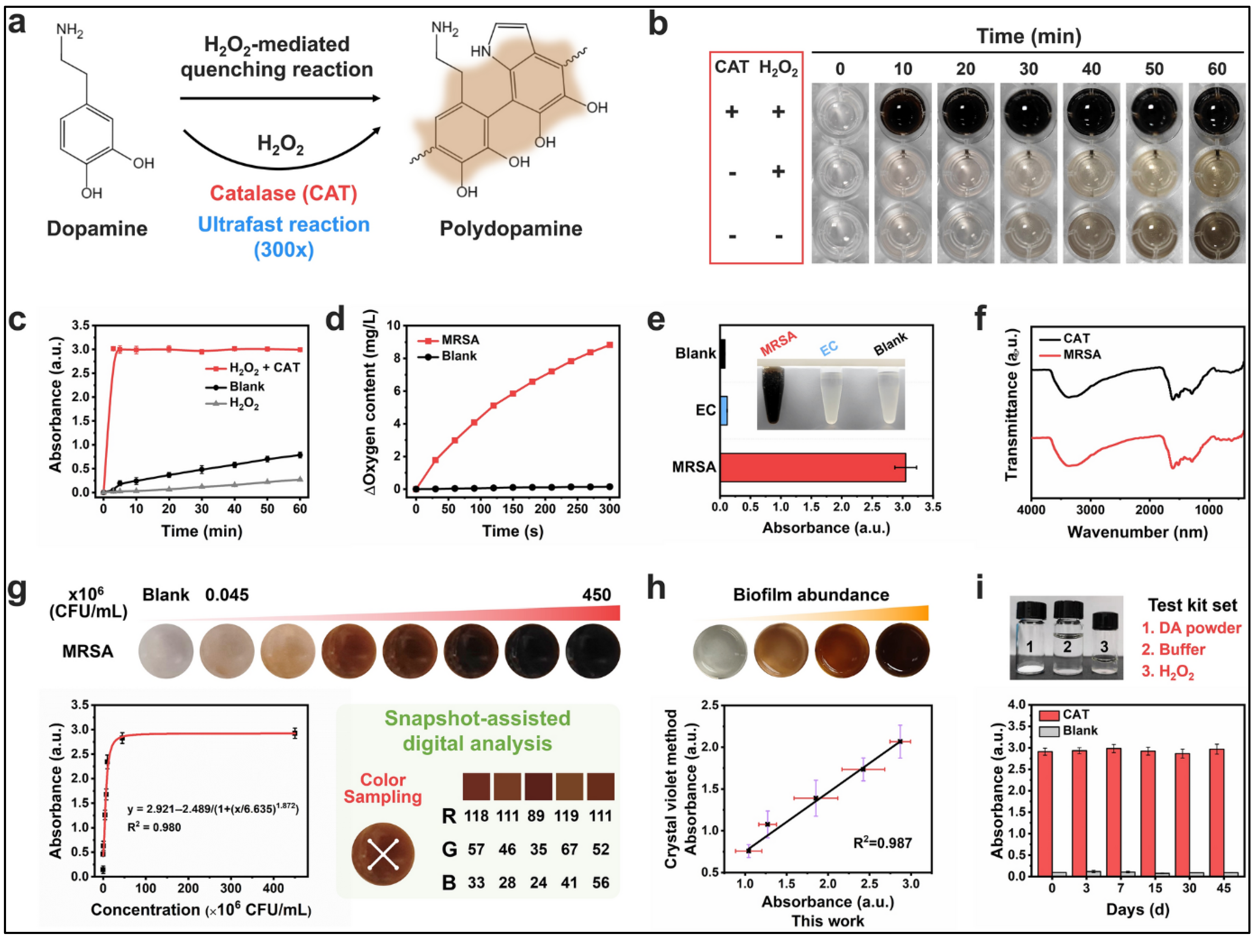 Polymers 17 03012 g007